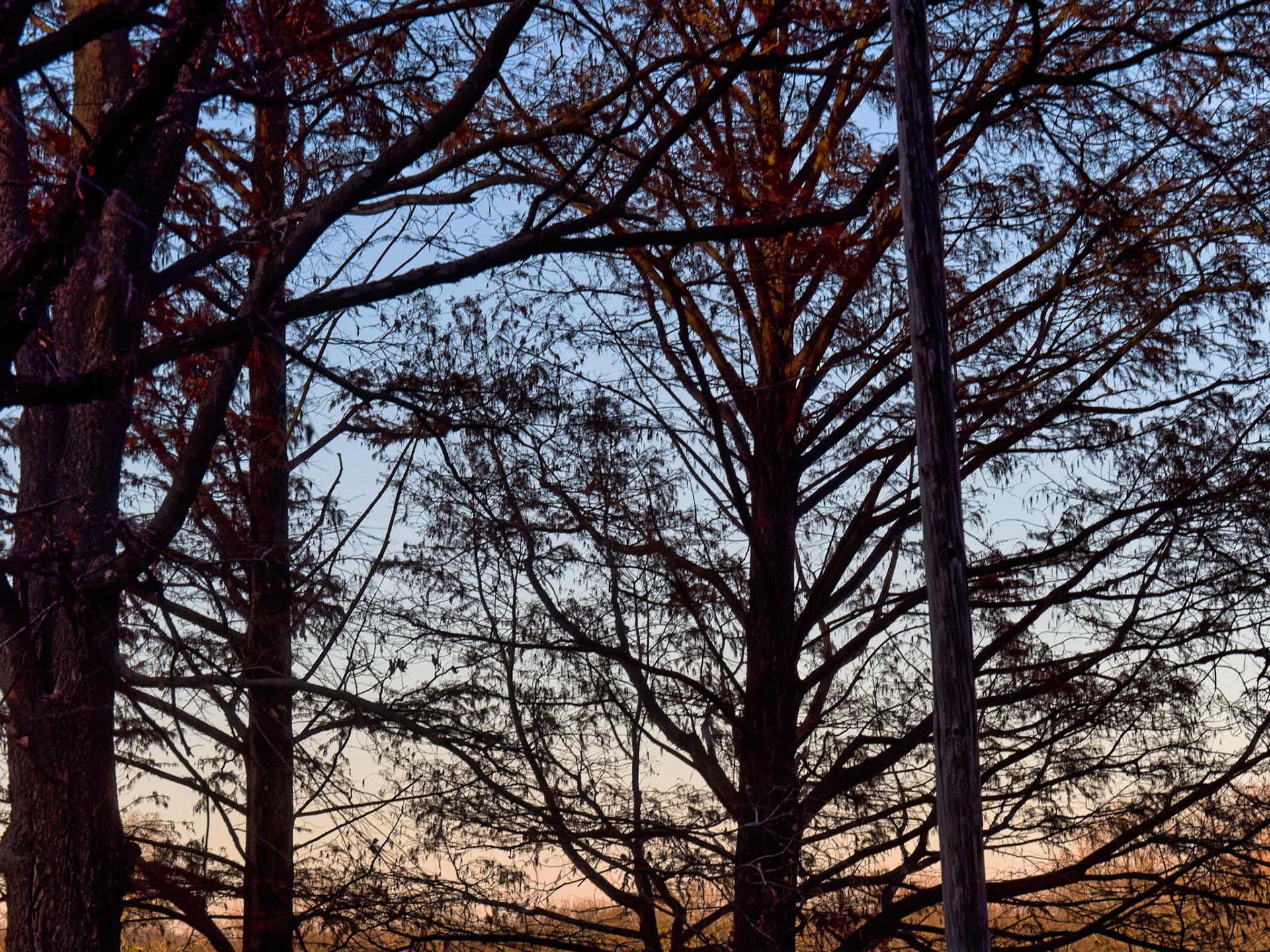 IL Starved Rock 00071
