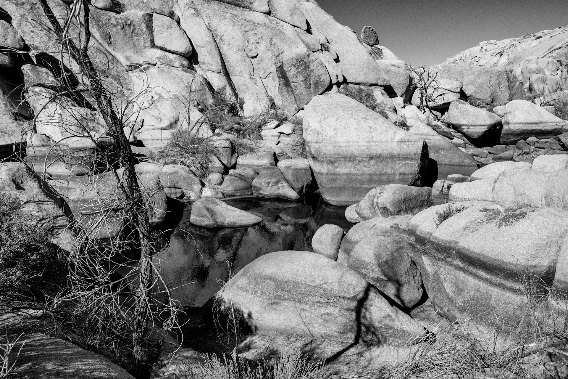 Black & White 00105