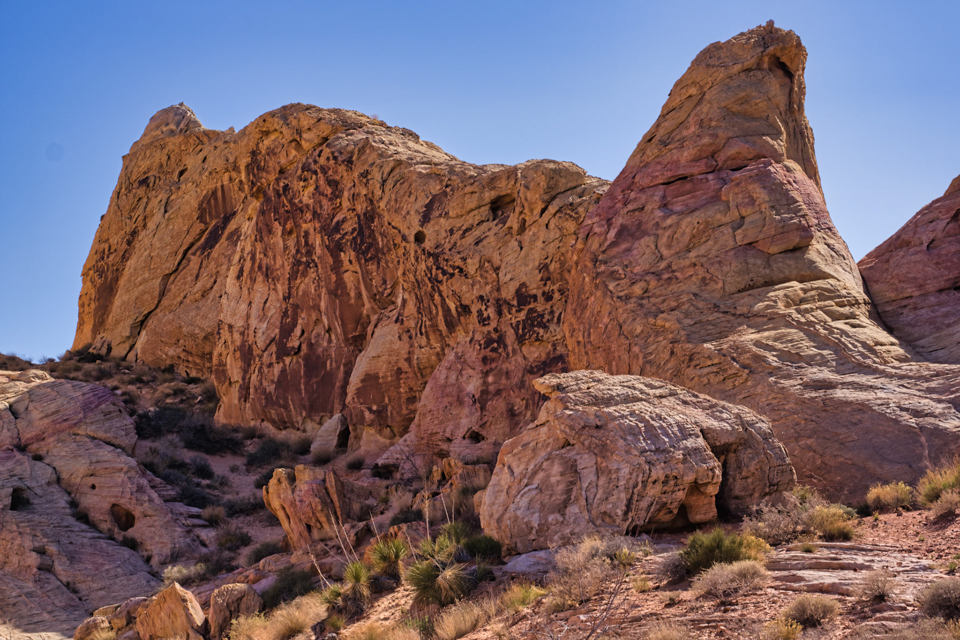 NV Desert 00119