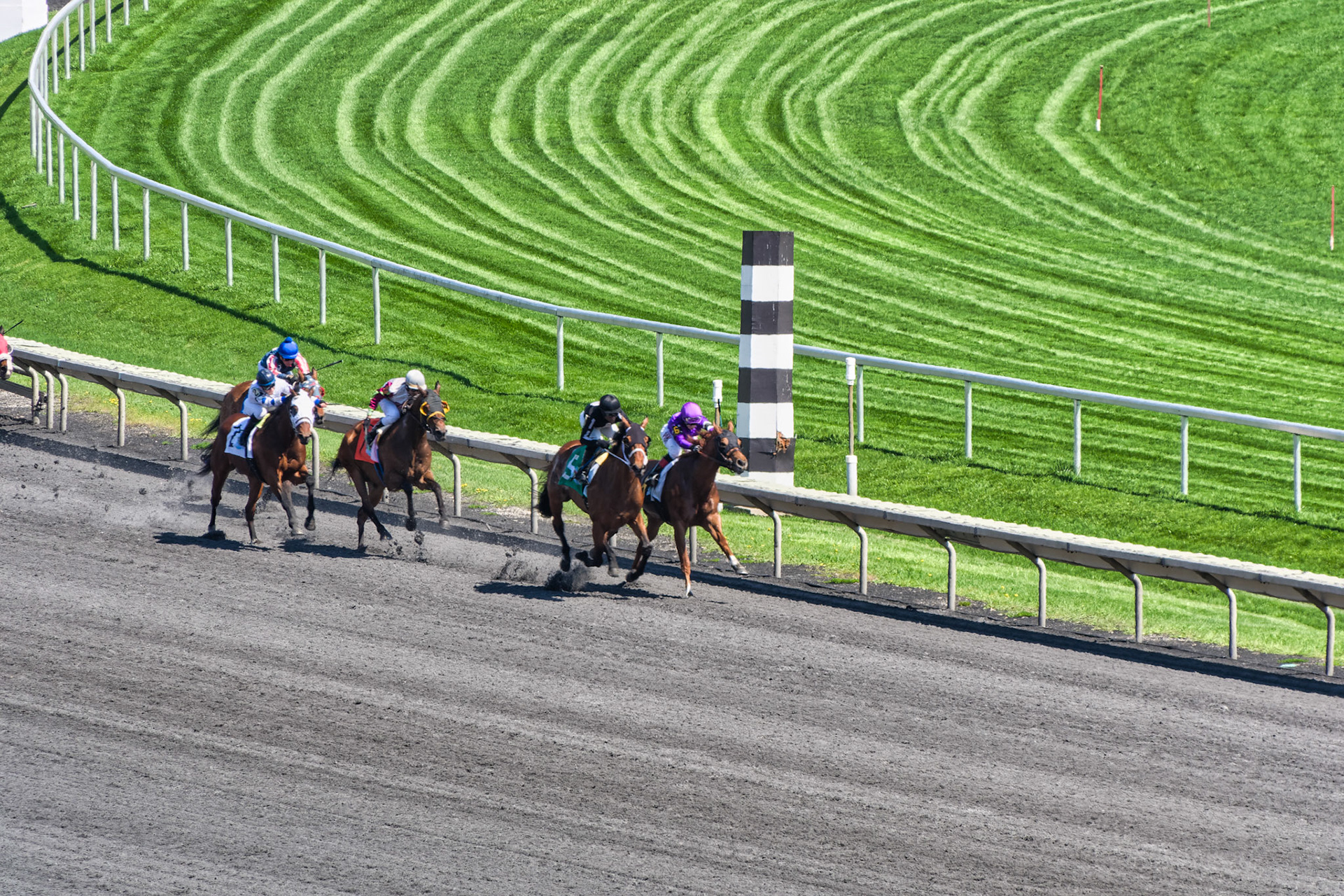 IL Arlington Park 00031