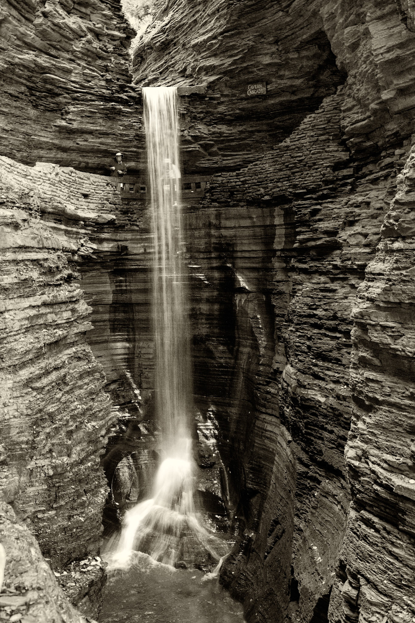 Black & White 00220