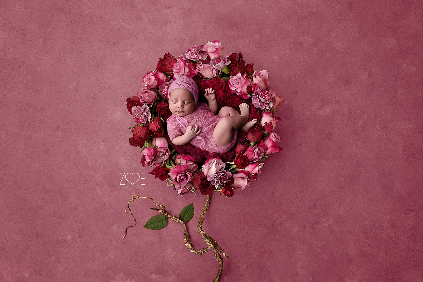 NYC 's Best Newborn Photographer ~ Zoe Hiigli Studio