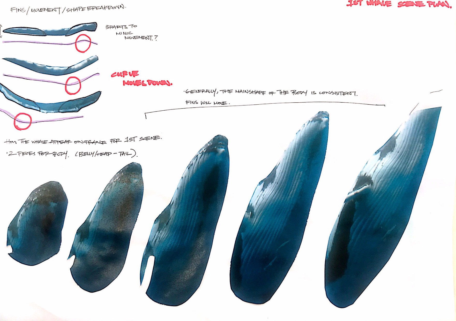 BREAKDOWN OF ANATOMY