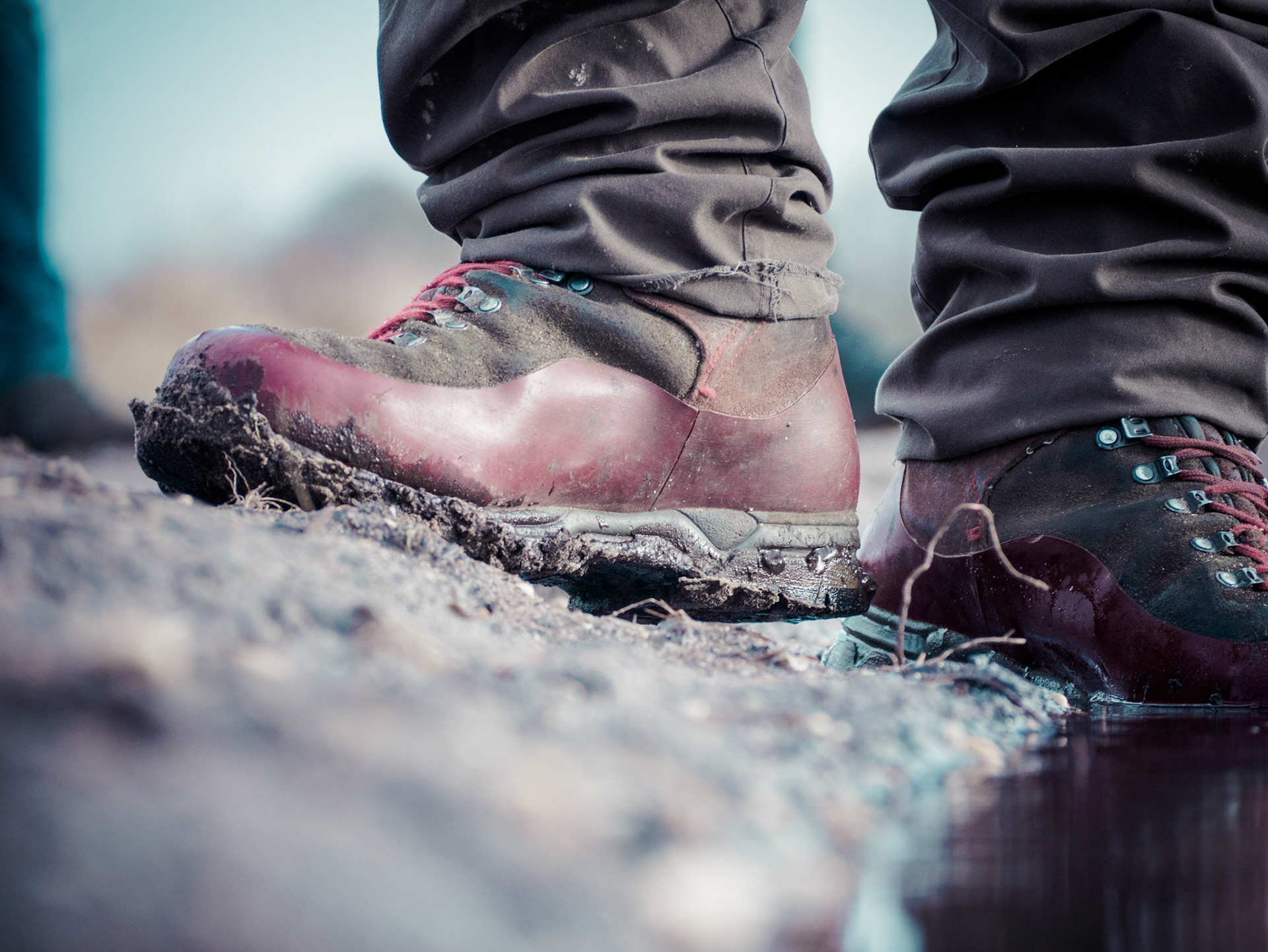 Schoenen