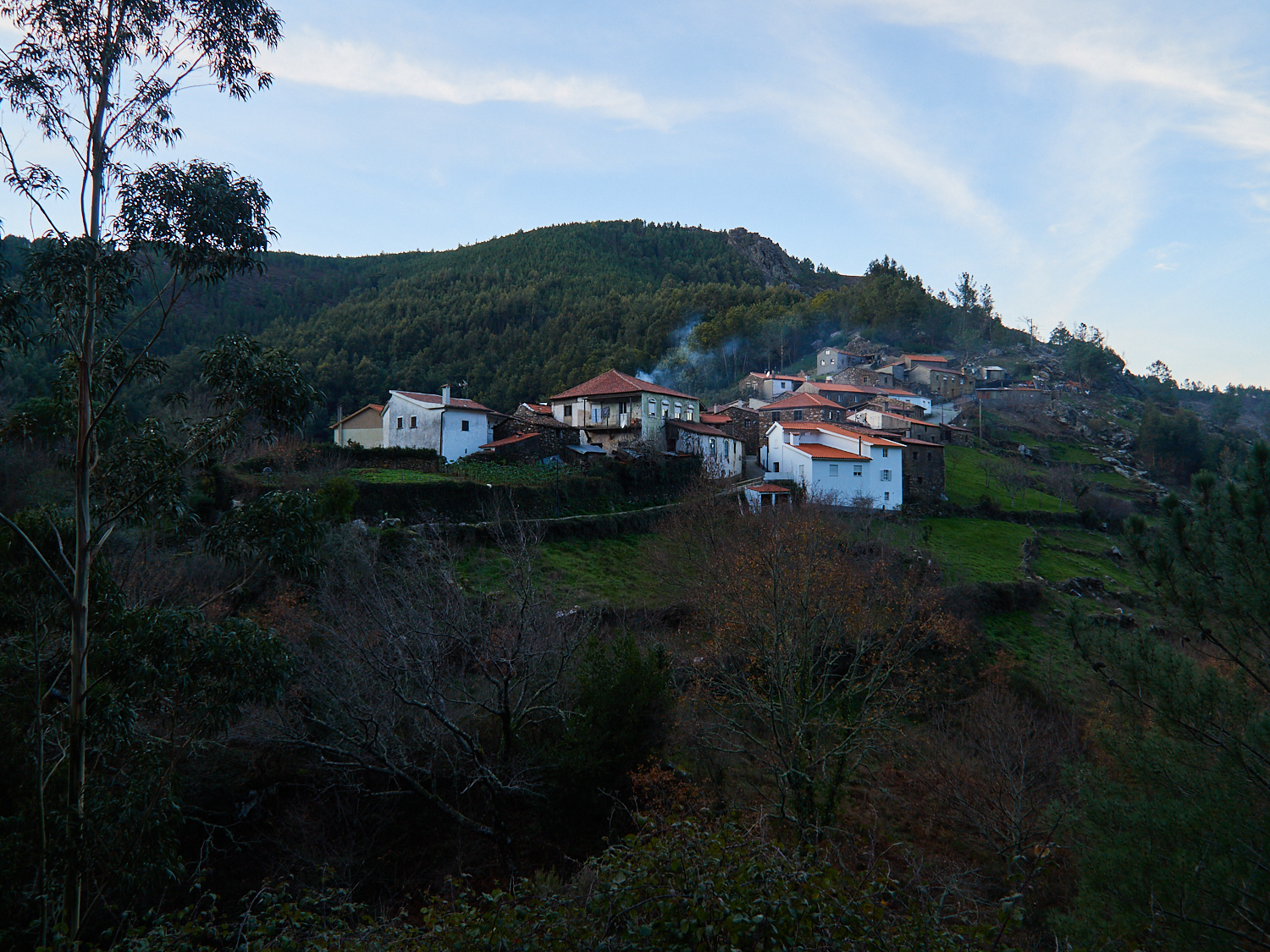 Pena