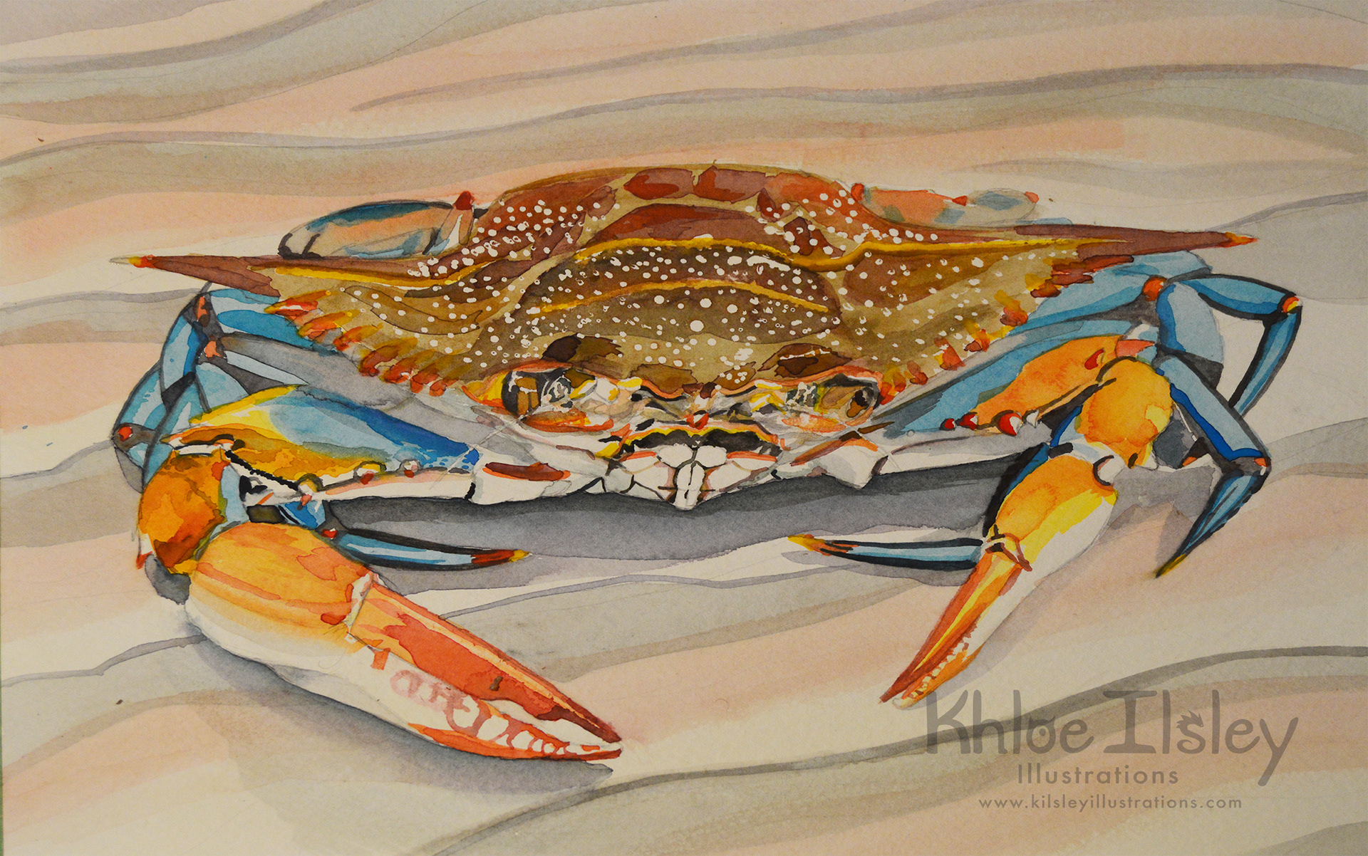 "Blue Crab" 11 x 14, 2019, $300