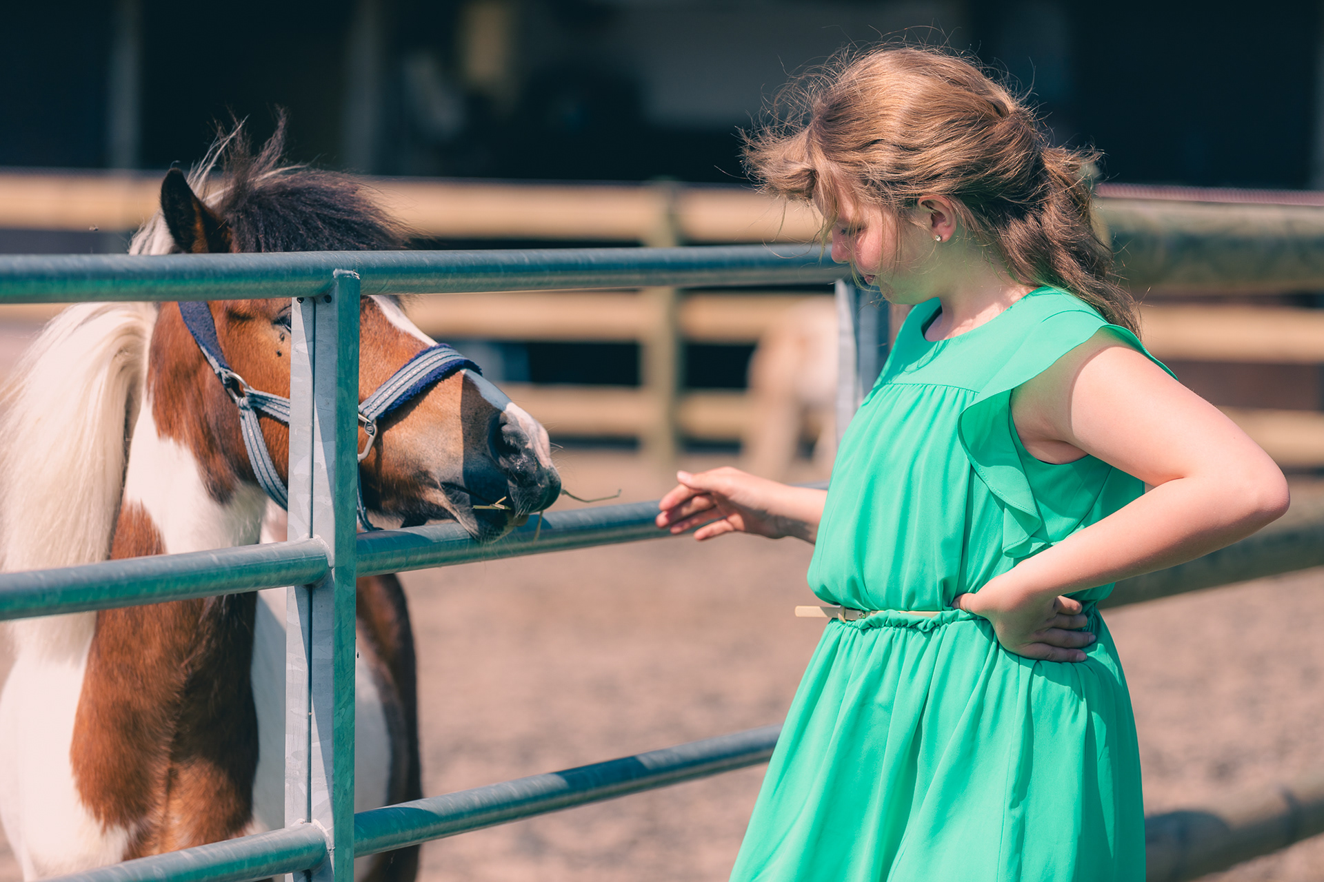 Communieshoot met pony