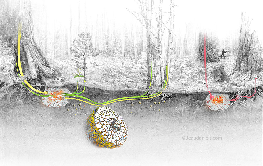 Additional elements added to Talking Trees