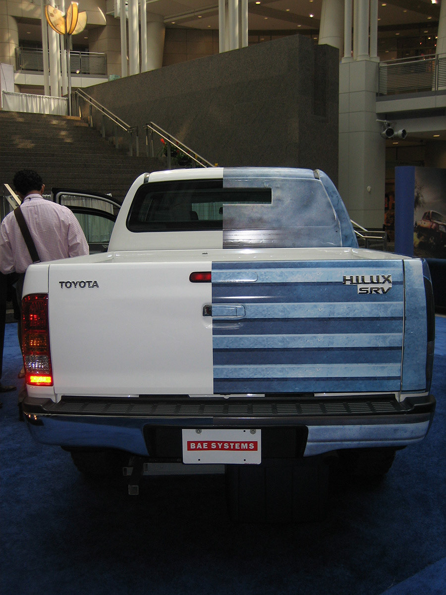 Tailgate and rear window wrap.