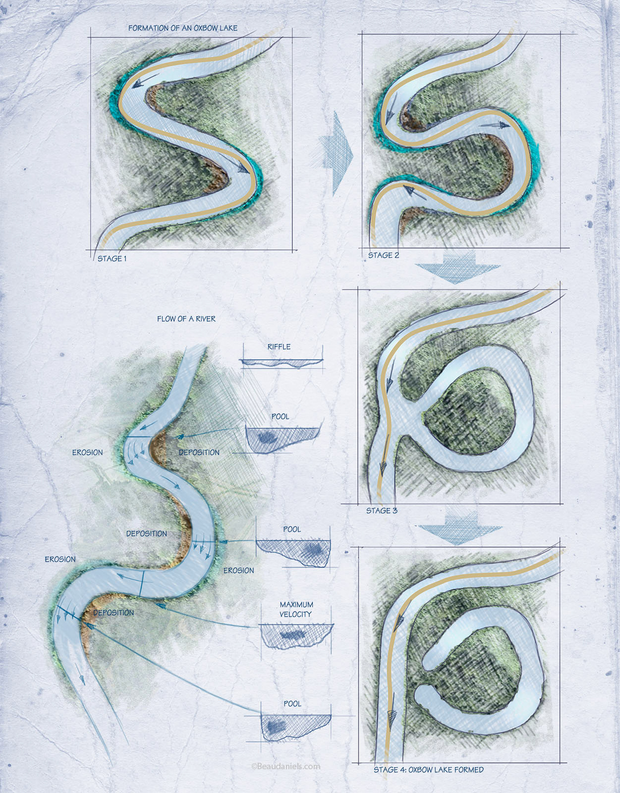 Oxbow lake formation. A U-shaped body of water that forms when a wide meander from the main stem of a river is cut off, creating a free-standing body of water.