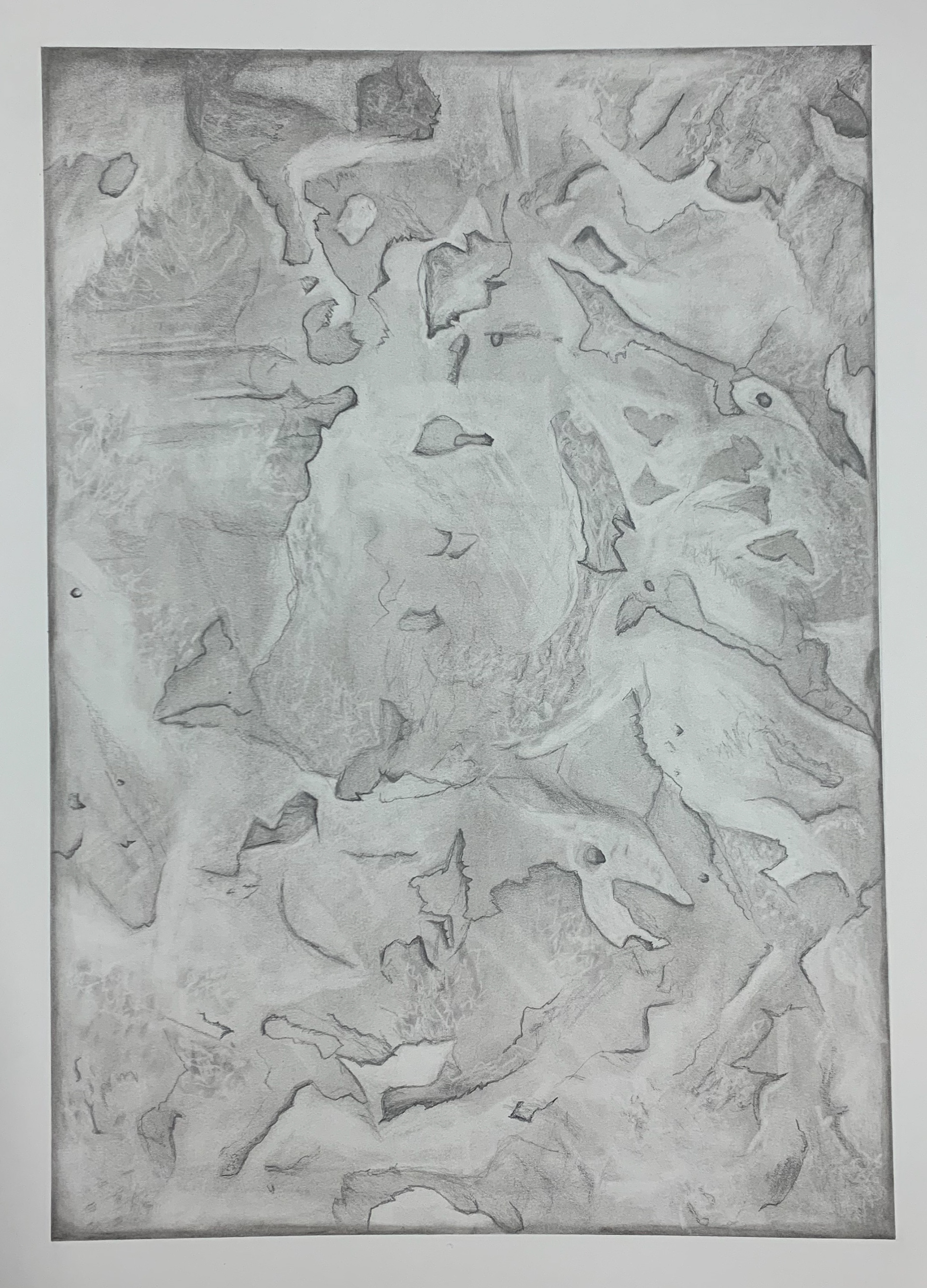 Simulated Texture / Drawing I / freshman year fall 2019