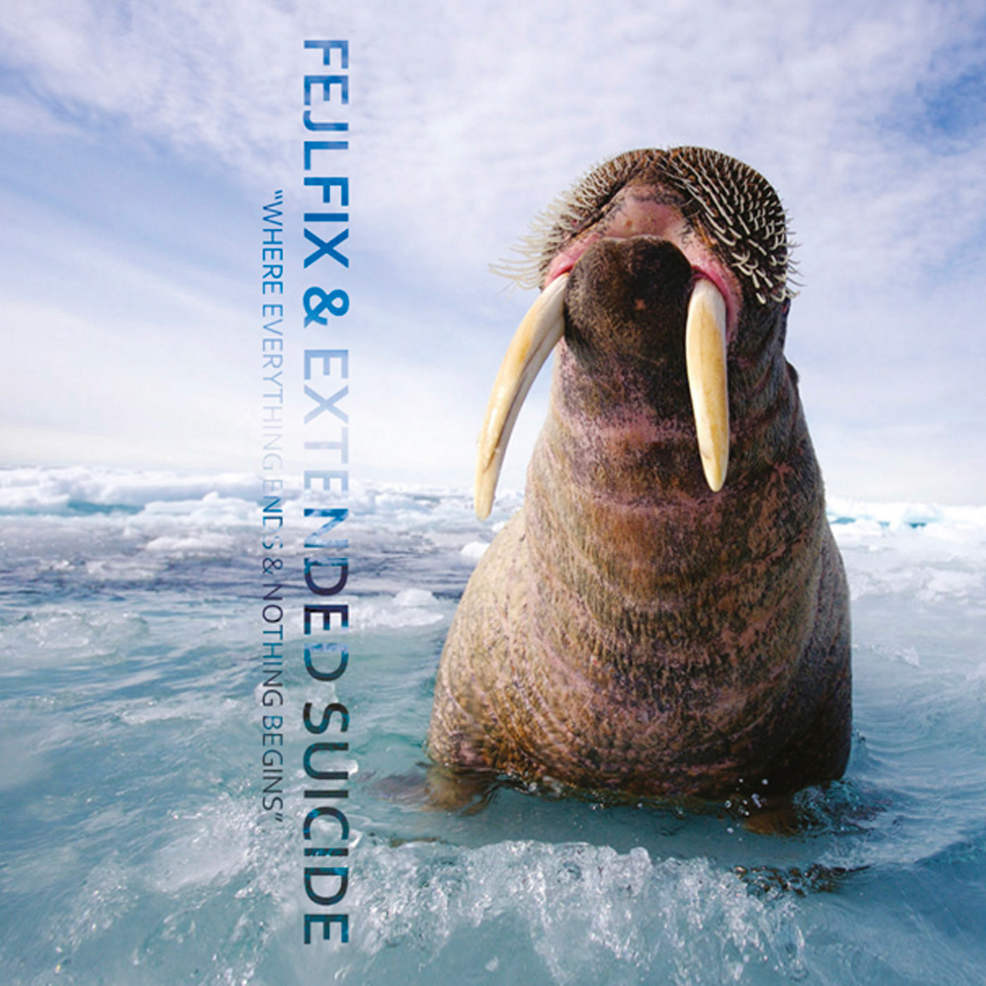 Design and layout - In collaboration with Danni Storm