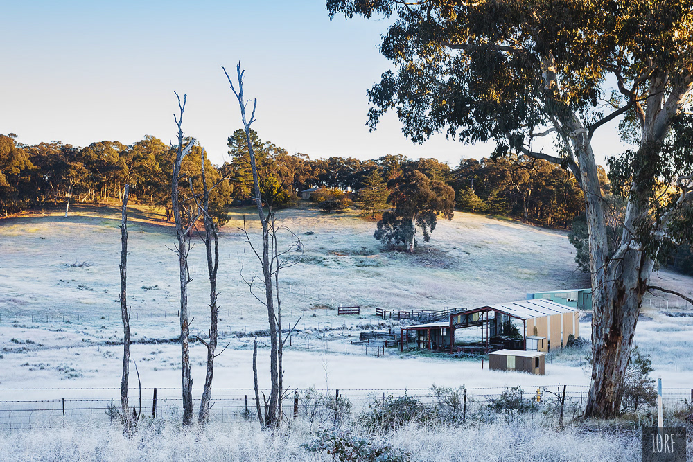 Frost covered paddock, bare trees in foreground with the rising touching the hillside in the background