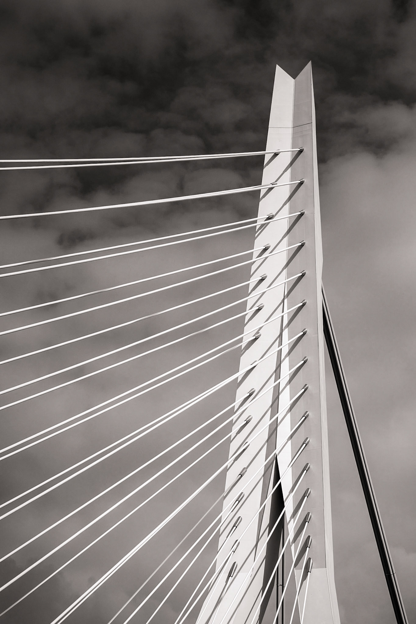 Erasmusbrug
