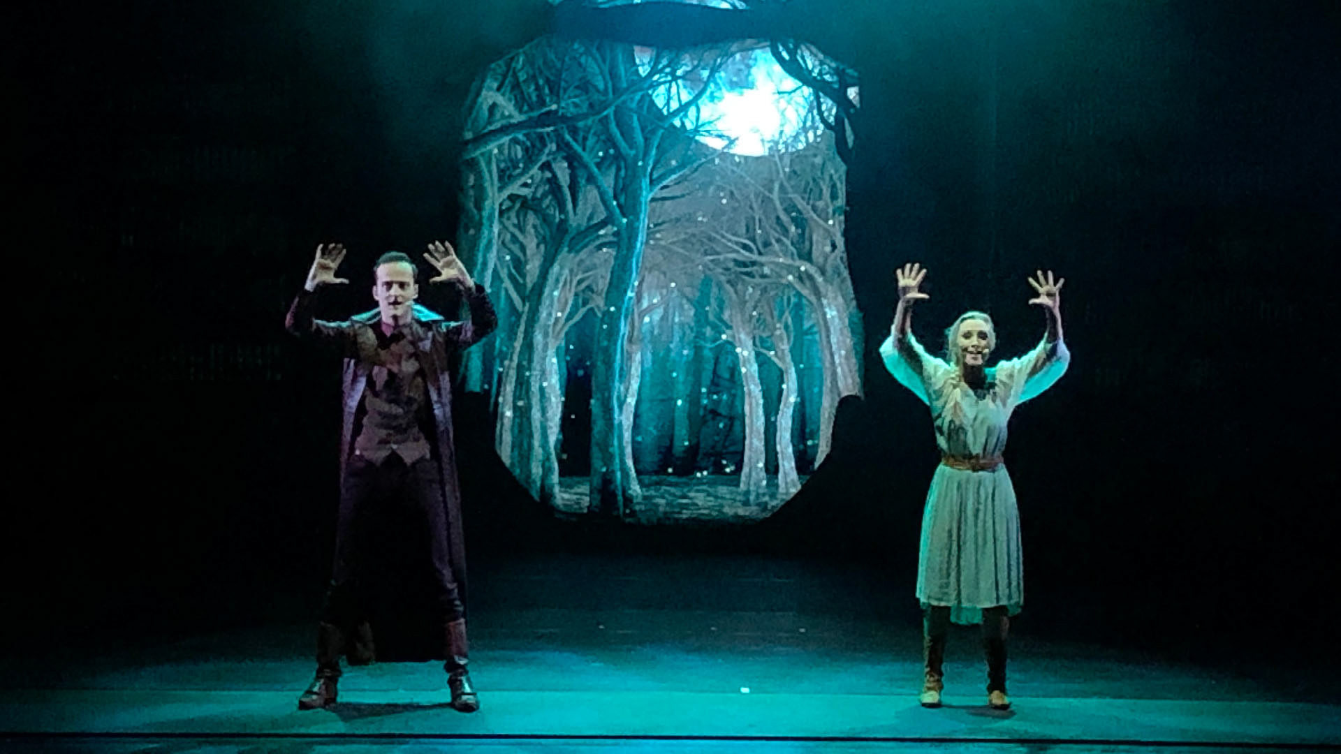 Nachtwacht Theatre show Wood