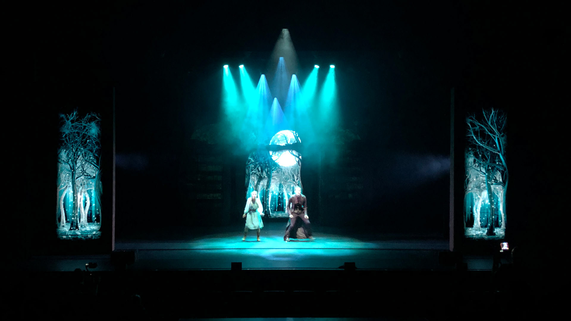 Nachtwacht Theatre show Wood