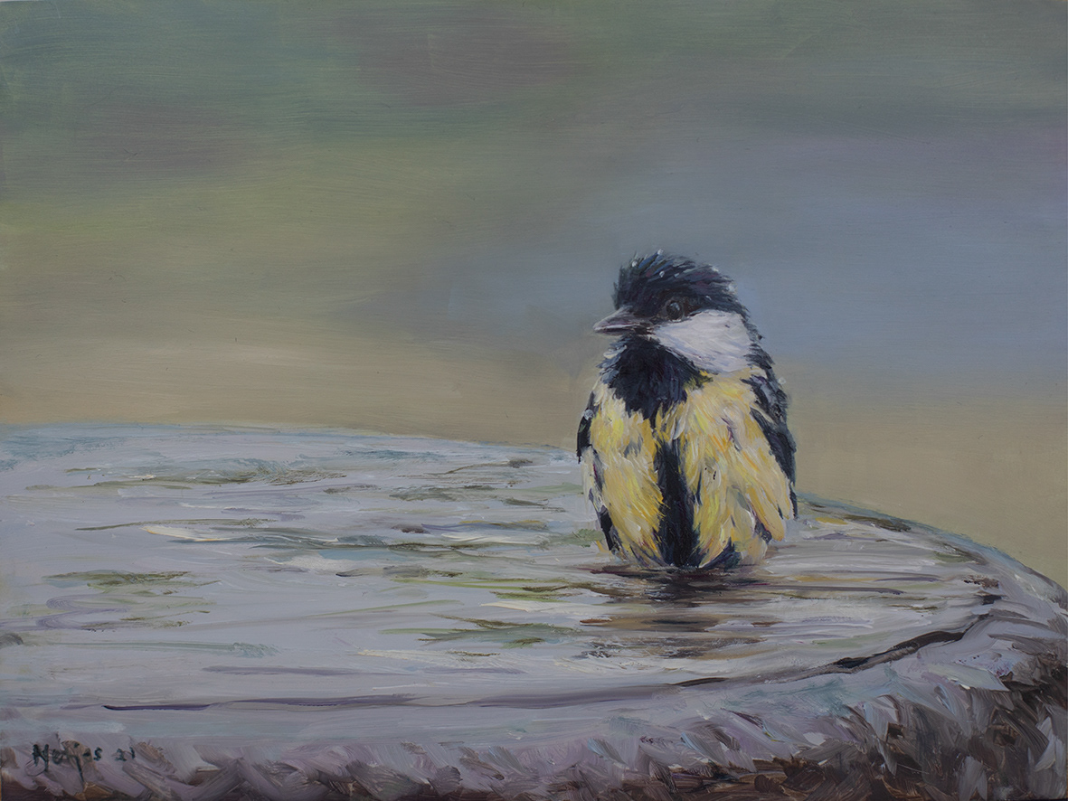 Coaltit (24x18 cm €1200,-)