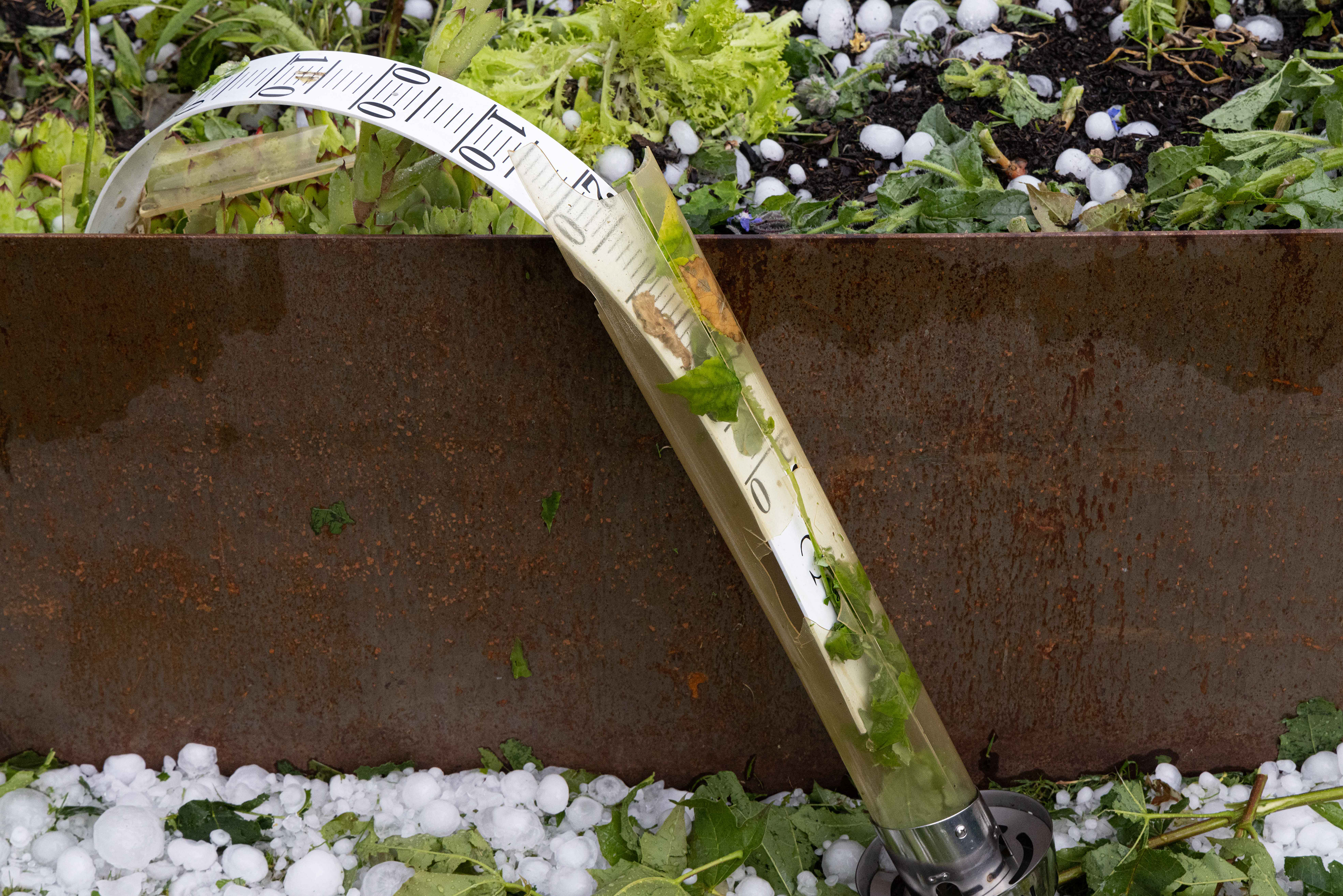 Thermometer ade