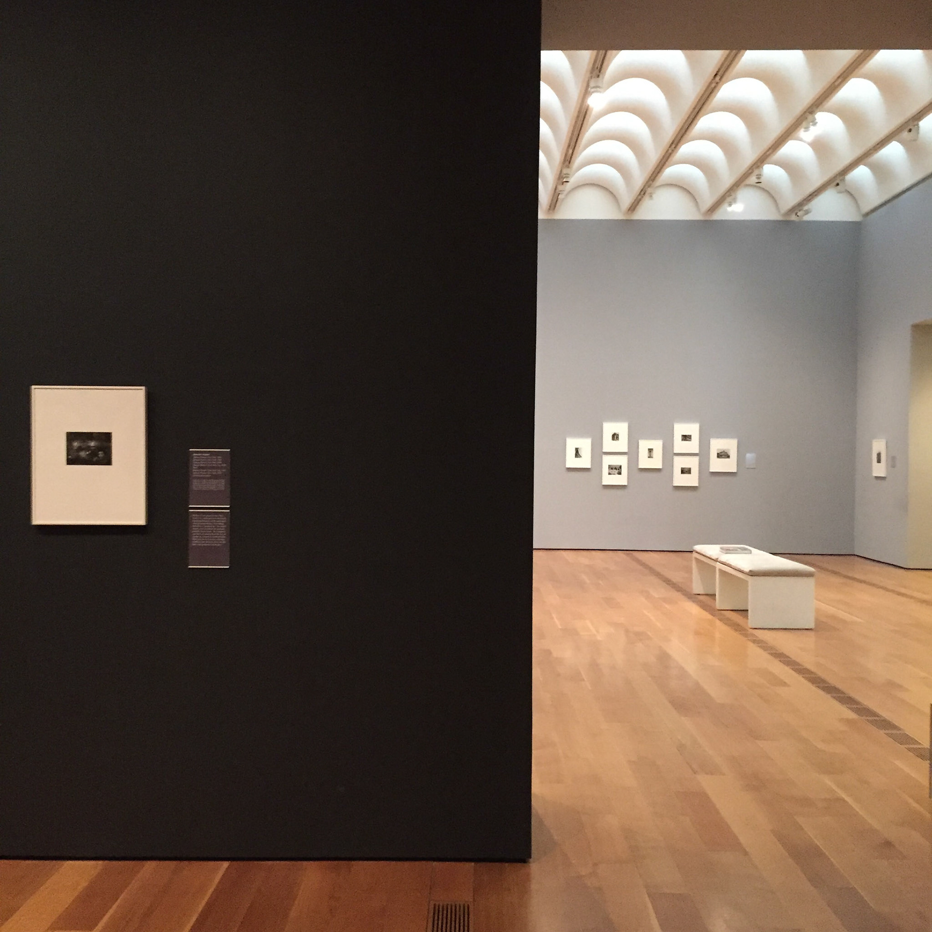 Walker Evan-2, High Museum of Art Atlanta GA