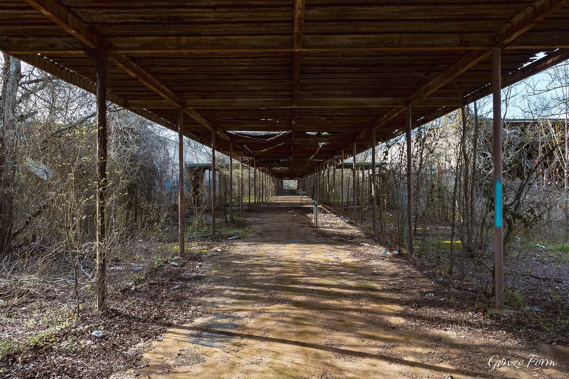 Gonzo Form Old Ellerbe Road School