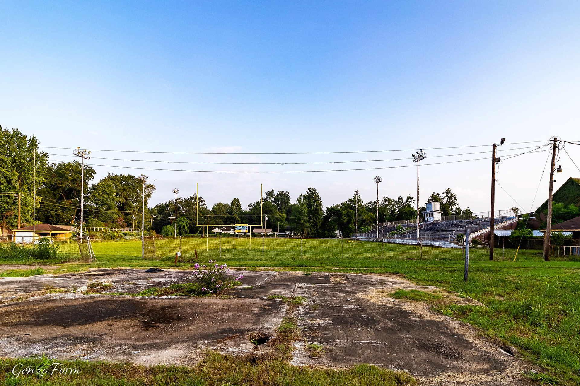 Gonzo Form Tallulah High School