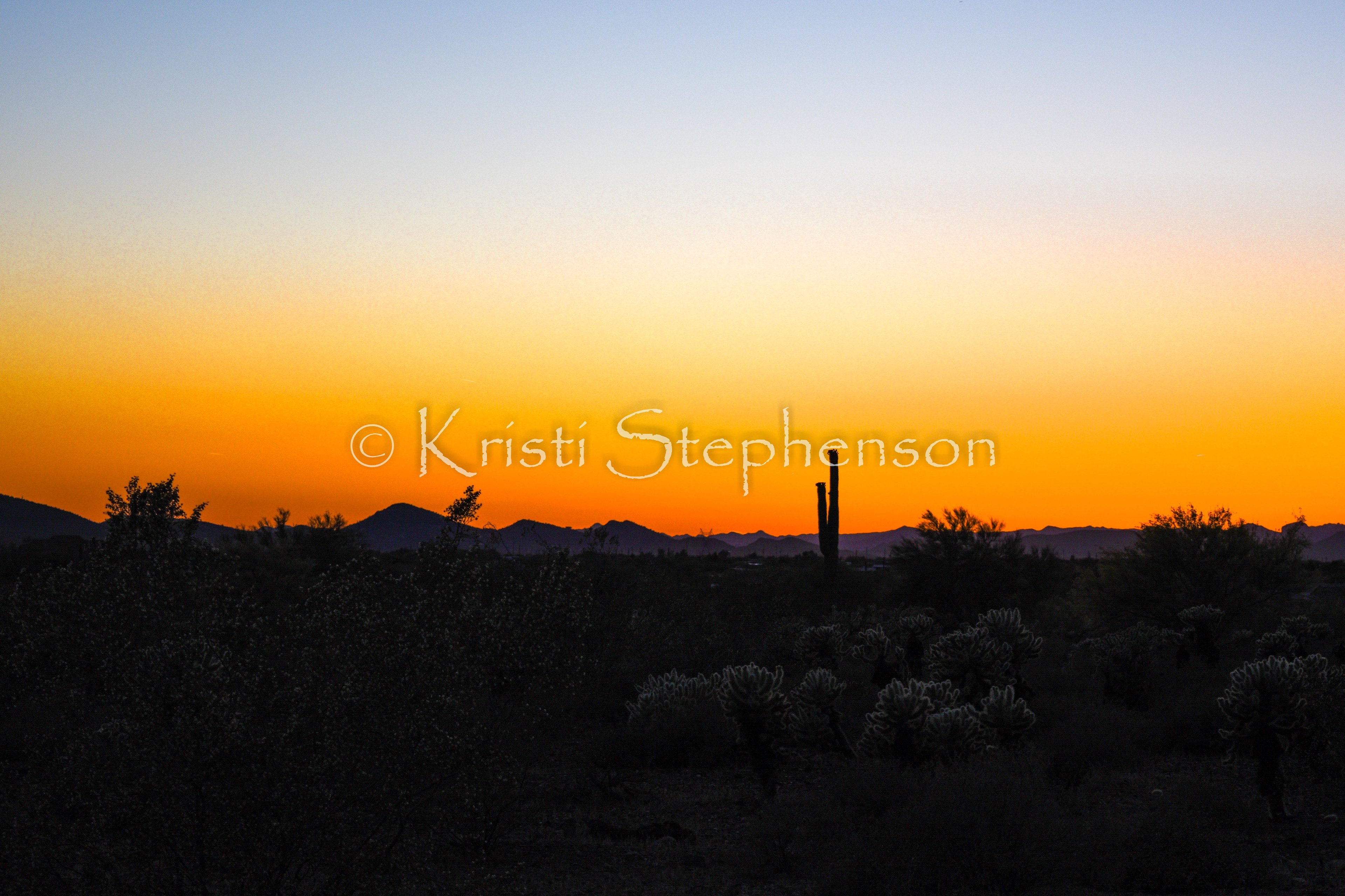 Sonoran Desert Sunset 3