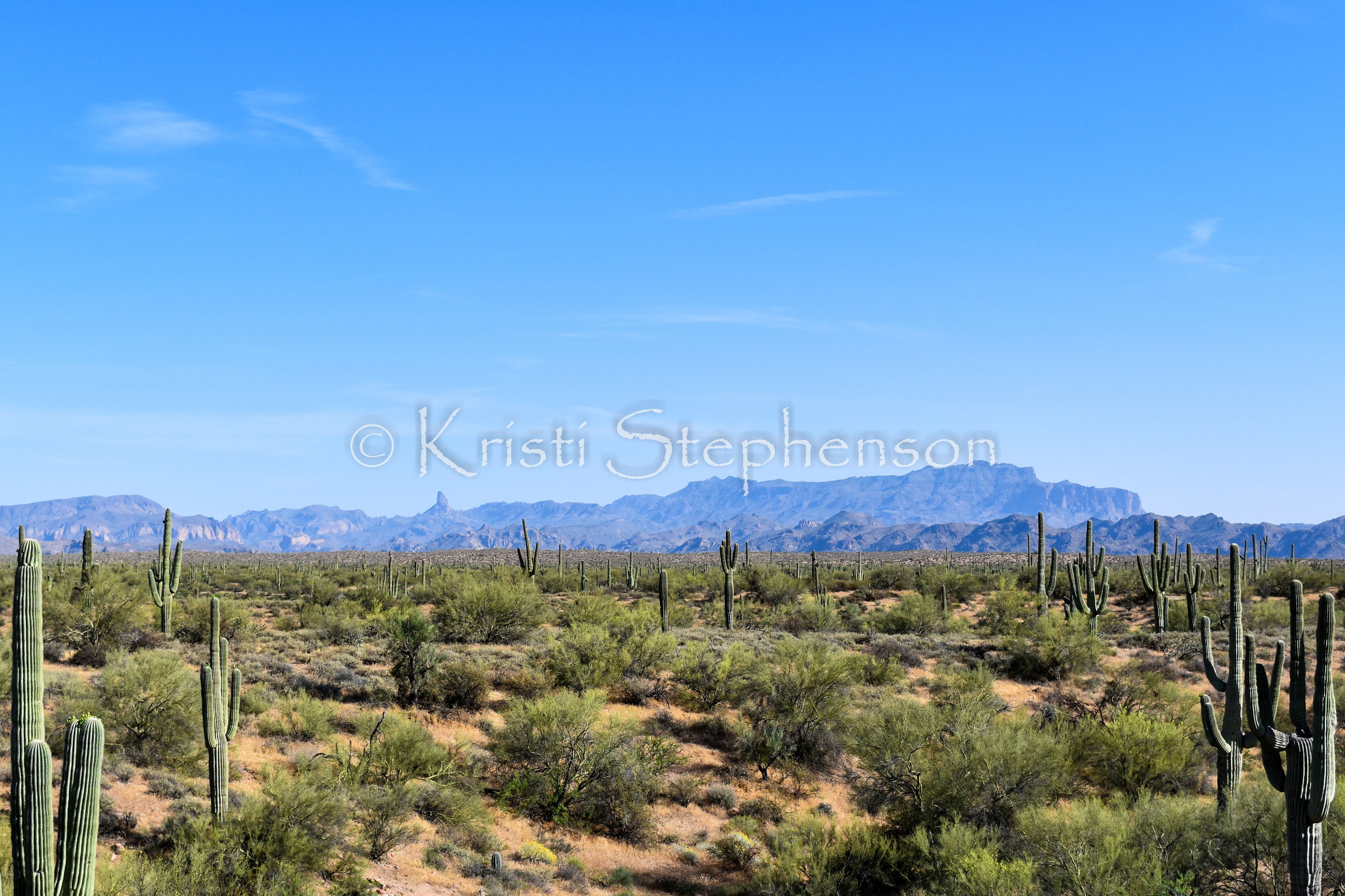 Sonoran Desert Skyline 1