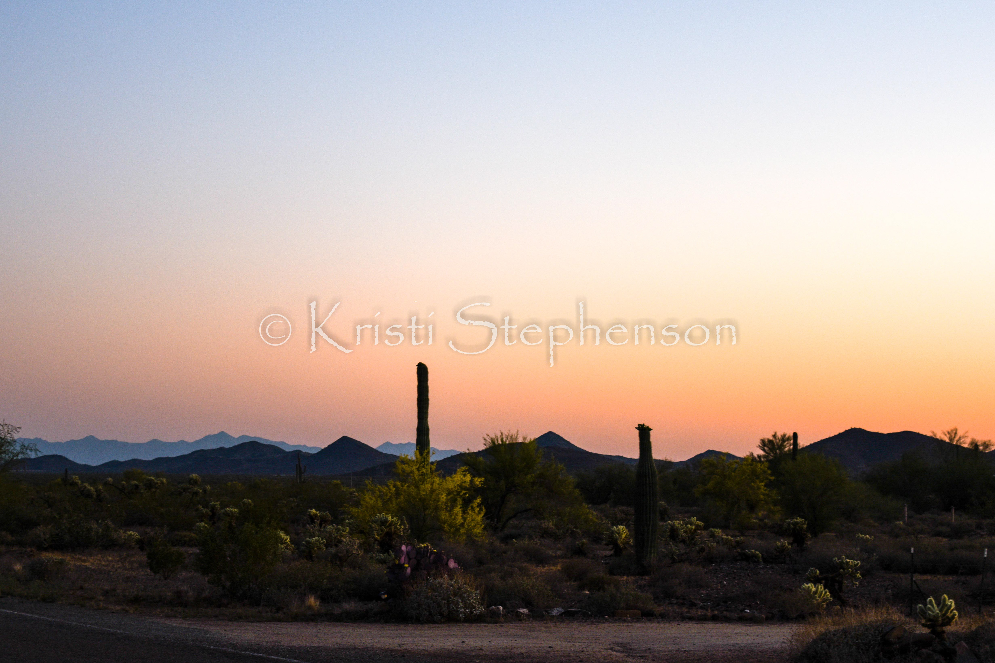 Sonoran Desert Sunset 1