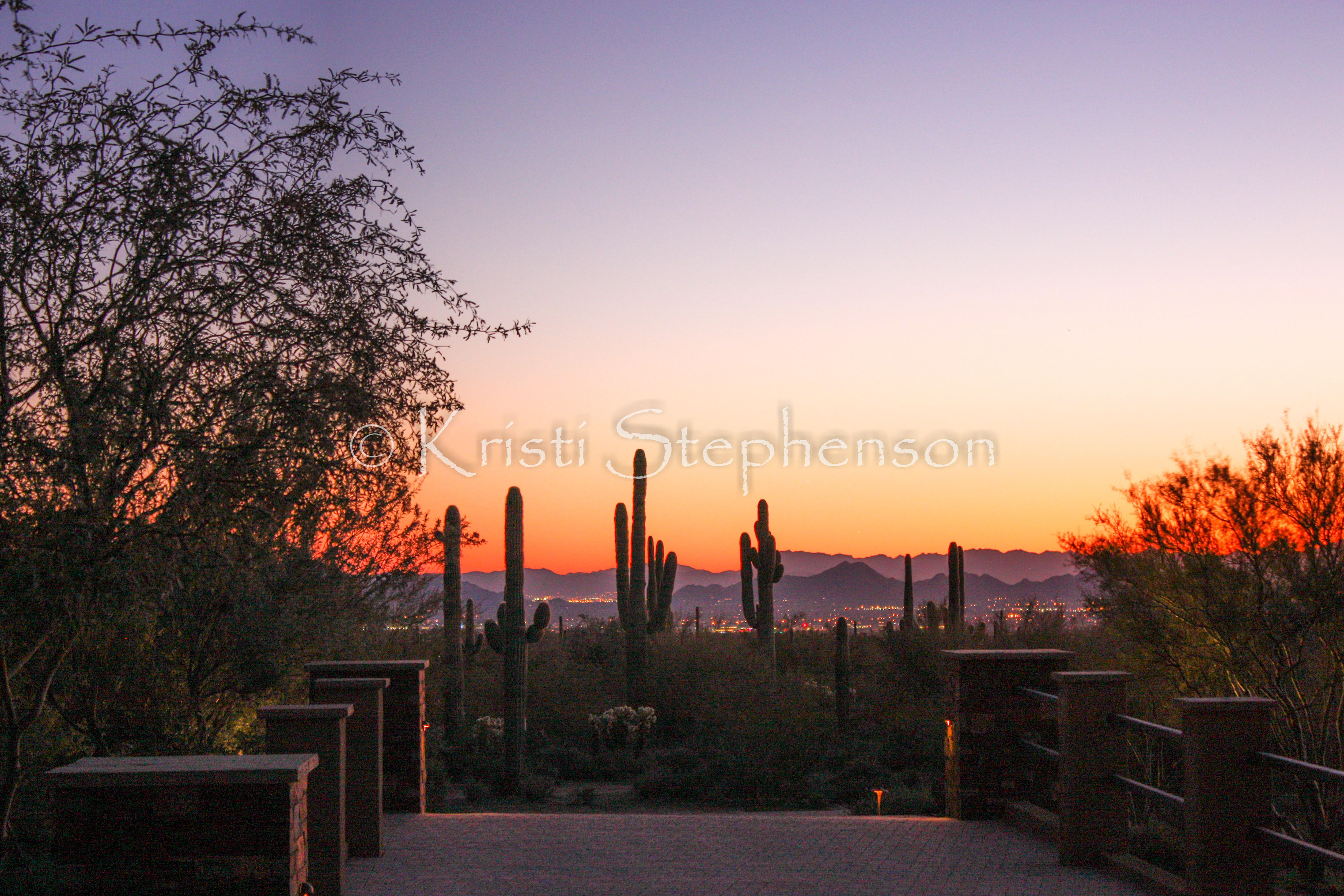 Saguaro Sentinels