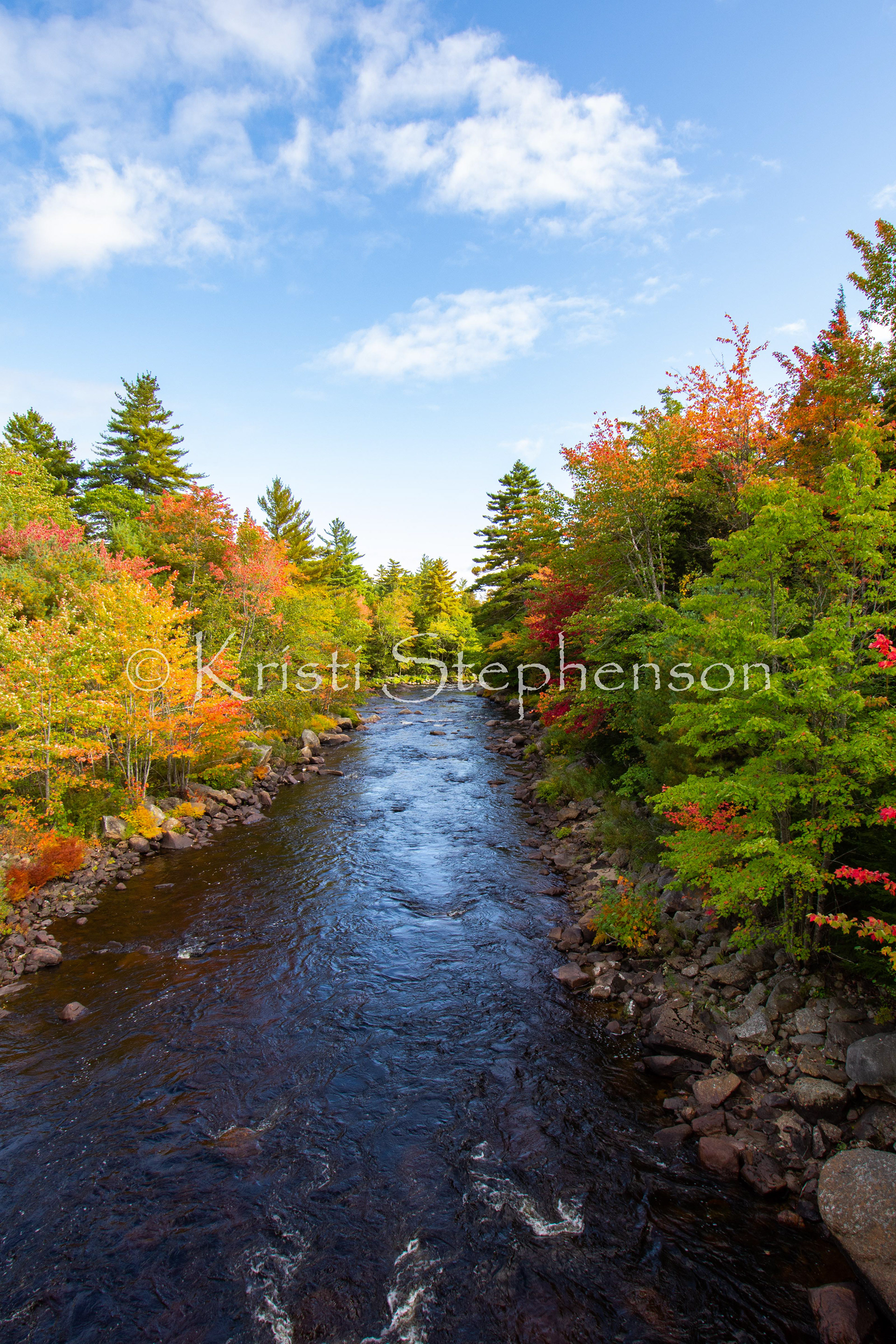 Fall Foliage, Maine - 3