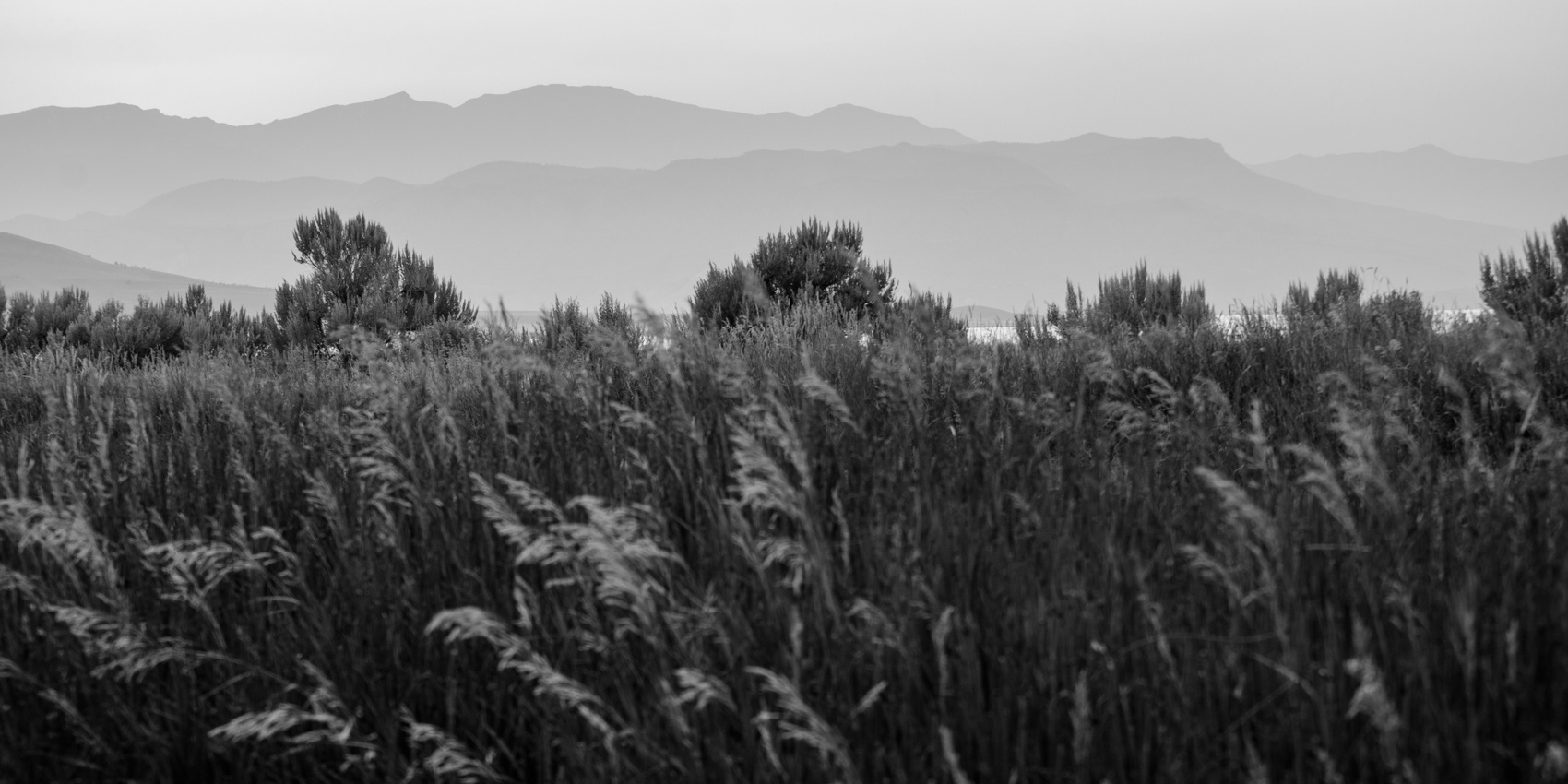 Absaroka Range, WY
