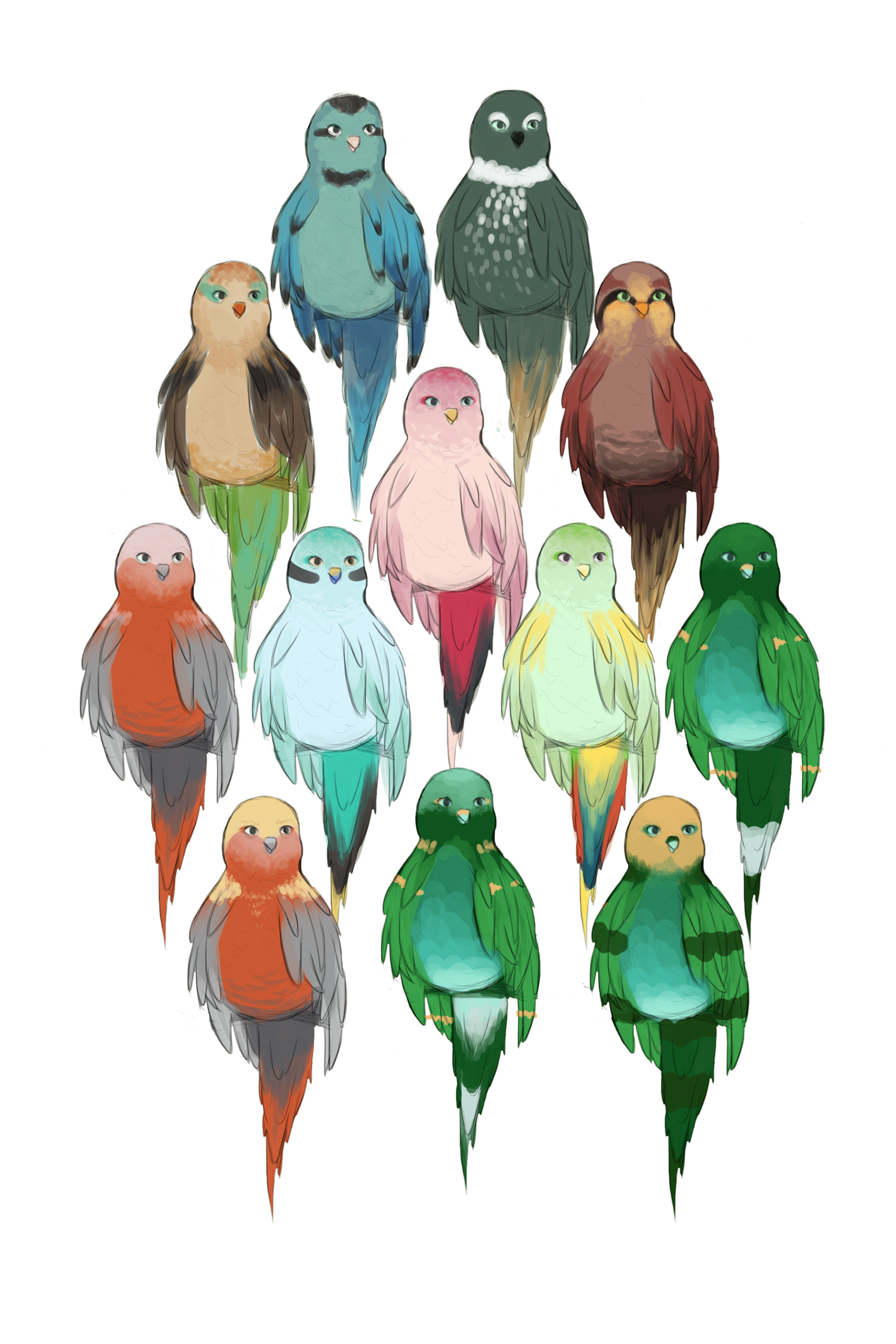 Fei Color Exploration