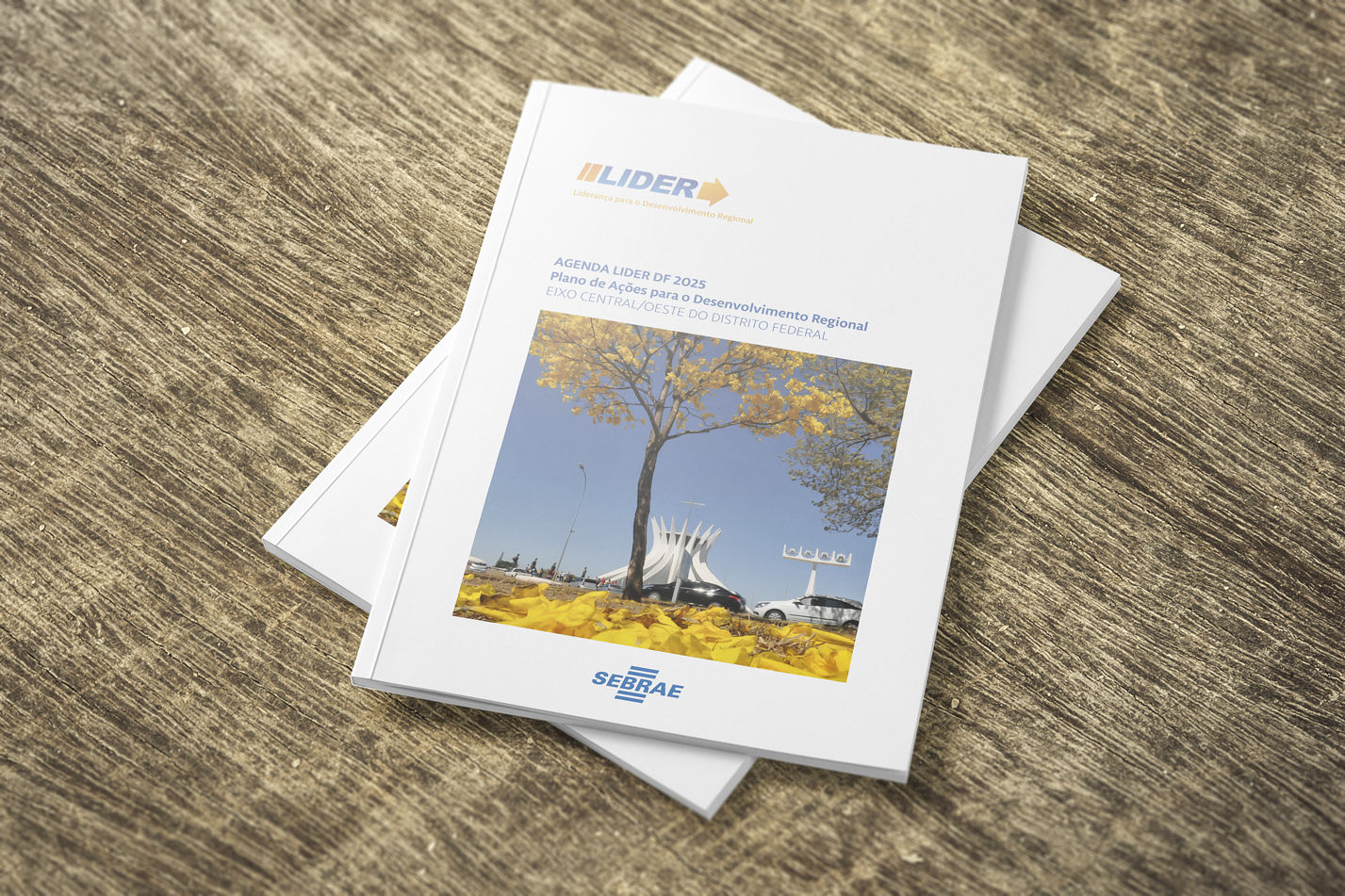 Agenda Lider DF 2025 - Sebrae DF