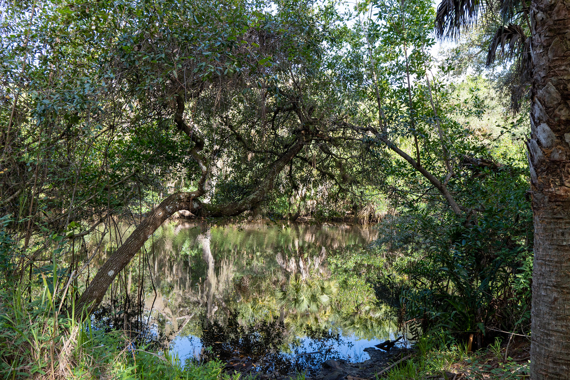 Koreshan State Park