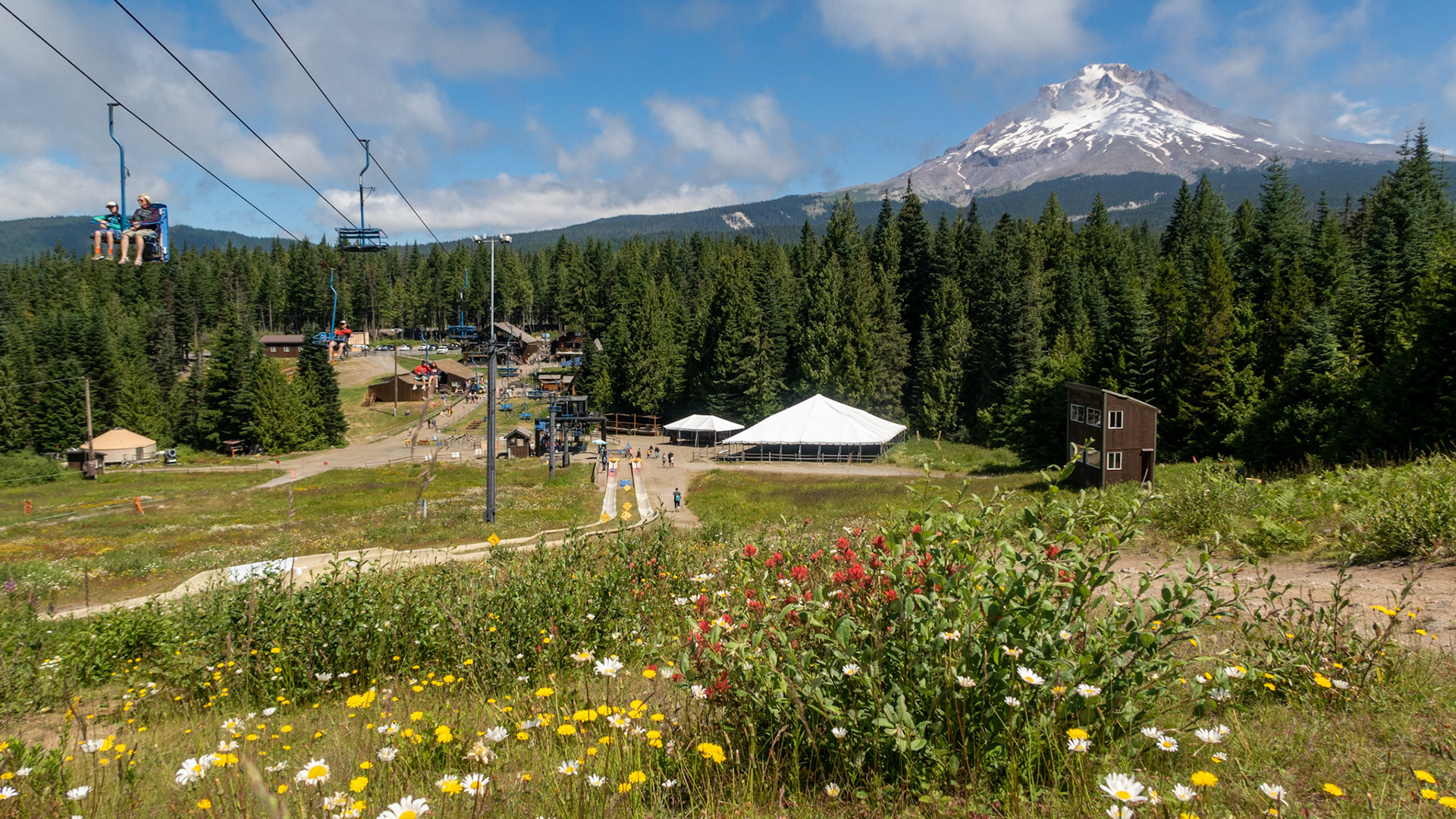 Mt. Hood Skibowl