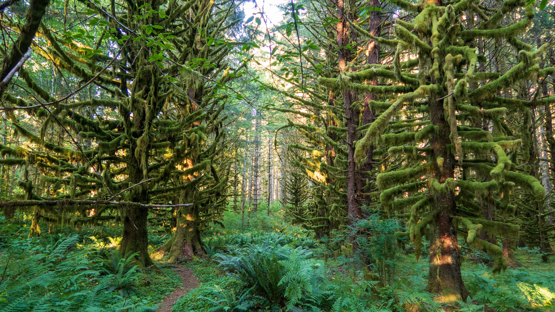 Hebo Lake Campground