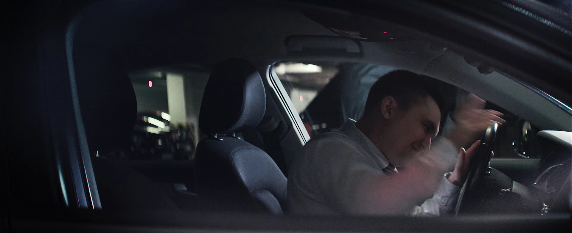 GOLDFINCHWORKS - Siemens LIONS