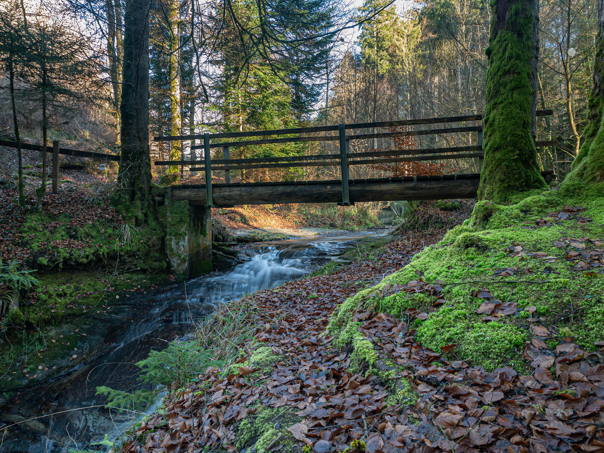 JeanMarc Dottrens Gros de Vaud