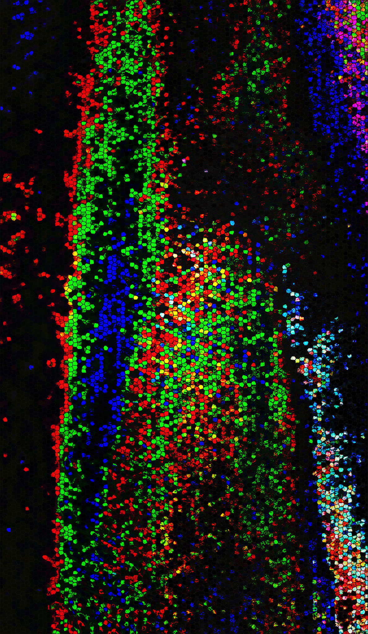 #bdweb #mosaic #digital