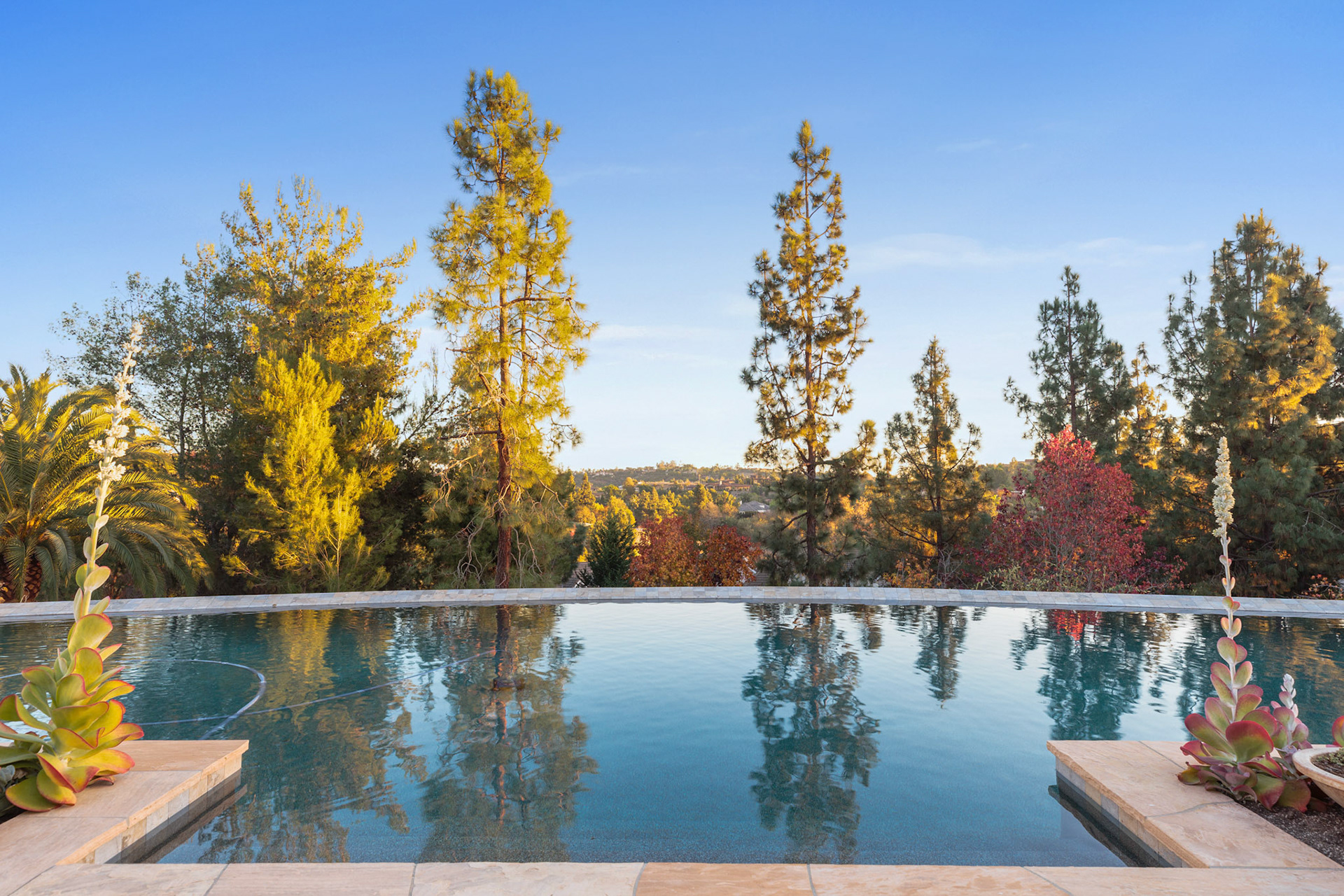 3248 Violet Ridge