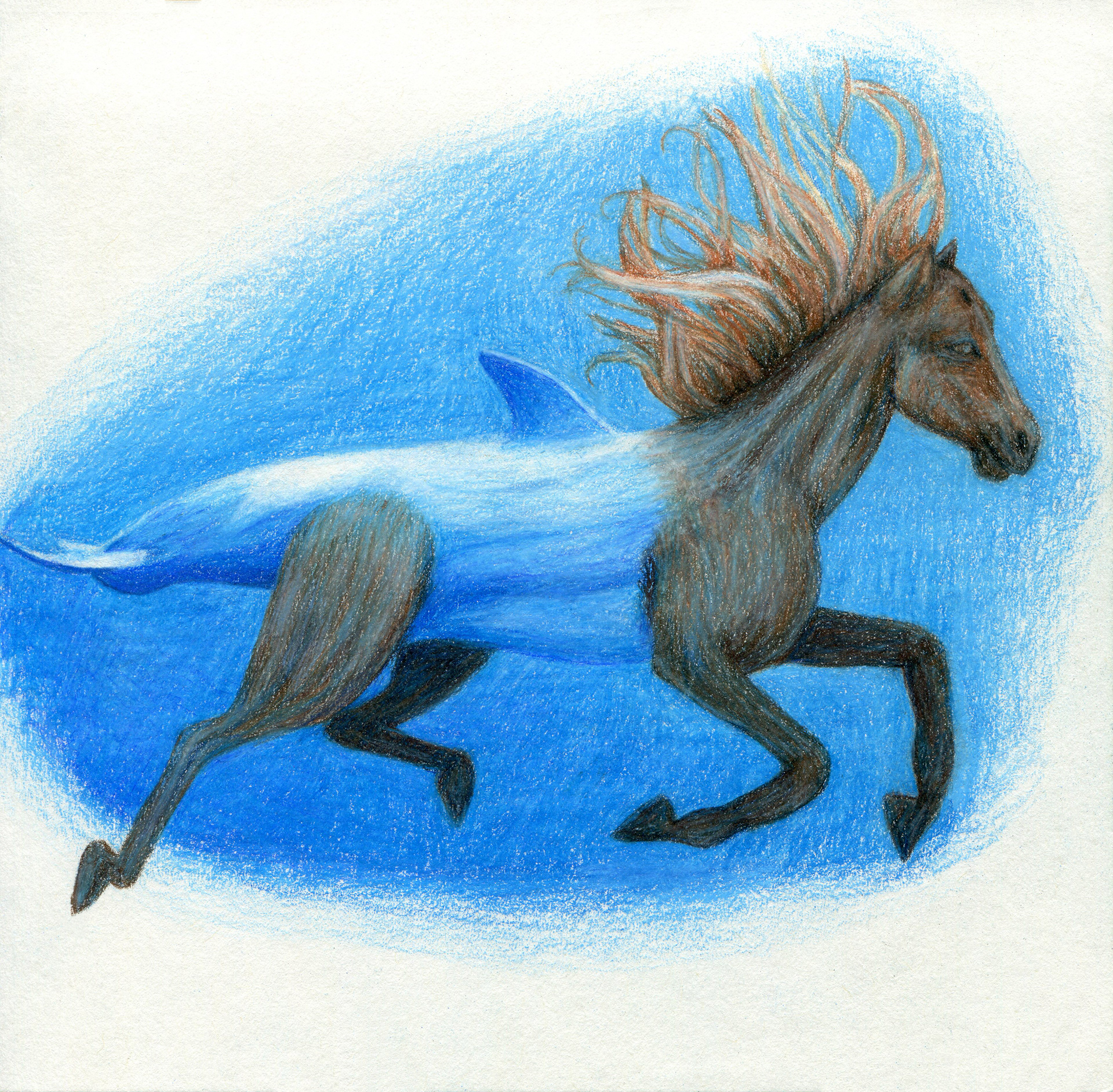June: The North-Atlantic Dolphorse