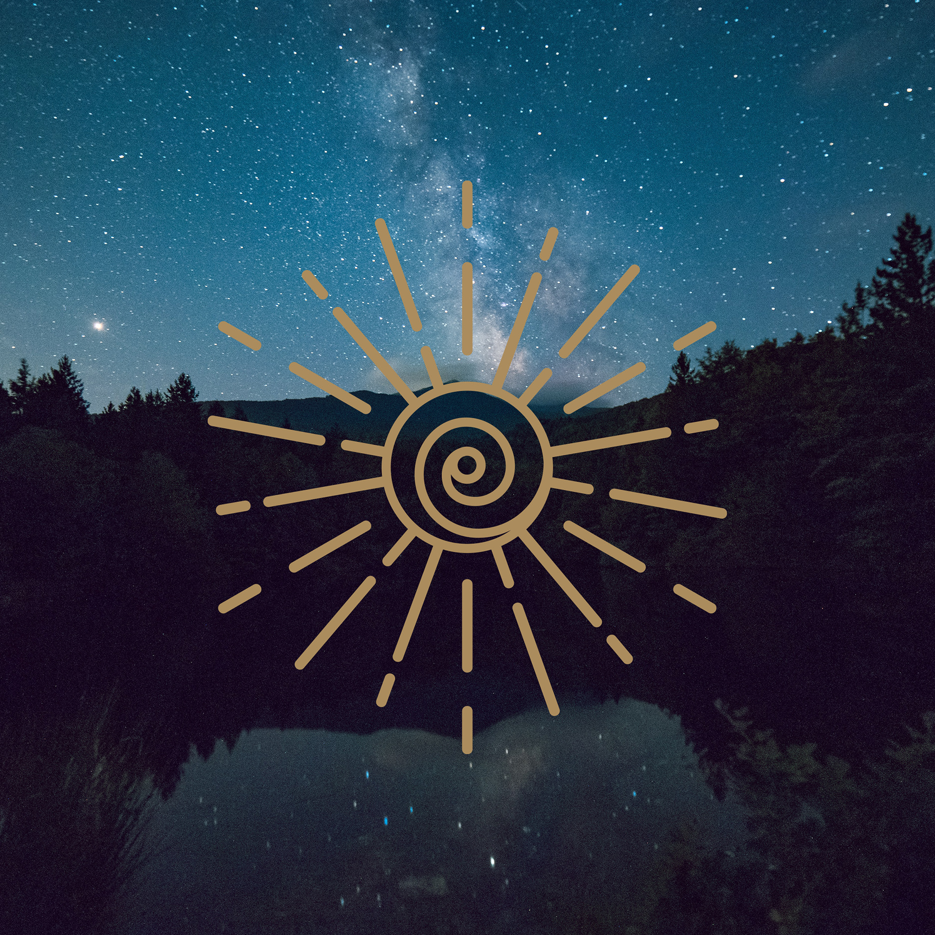 Feel Powerful coaching sfeer logo