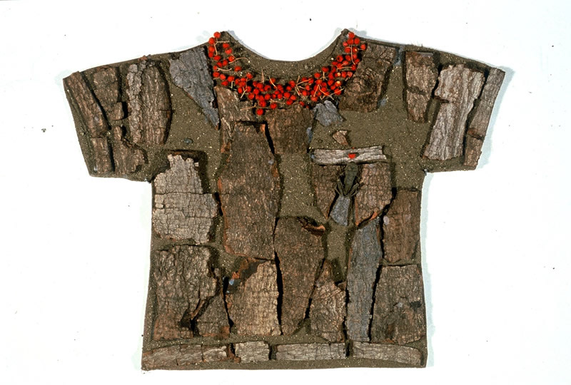 Change, avocado bark, berries, frog, dirt on shirt, 15in x 19in, 1994