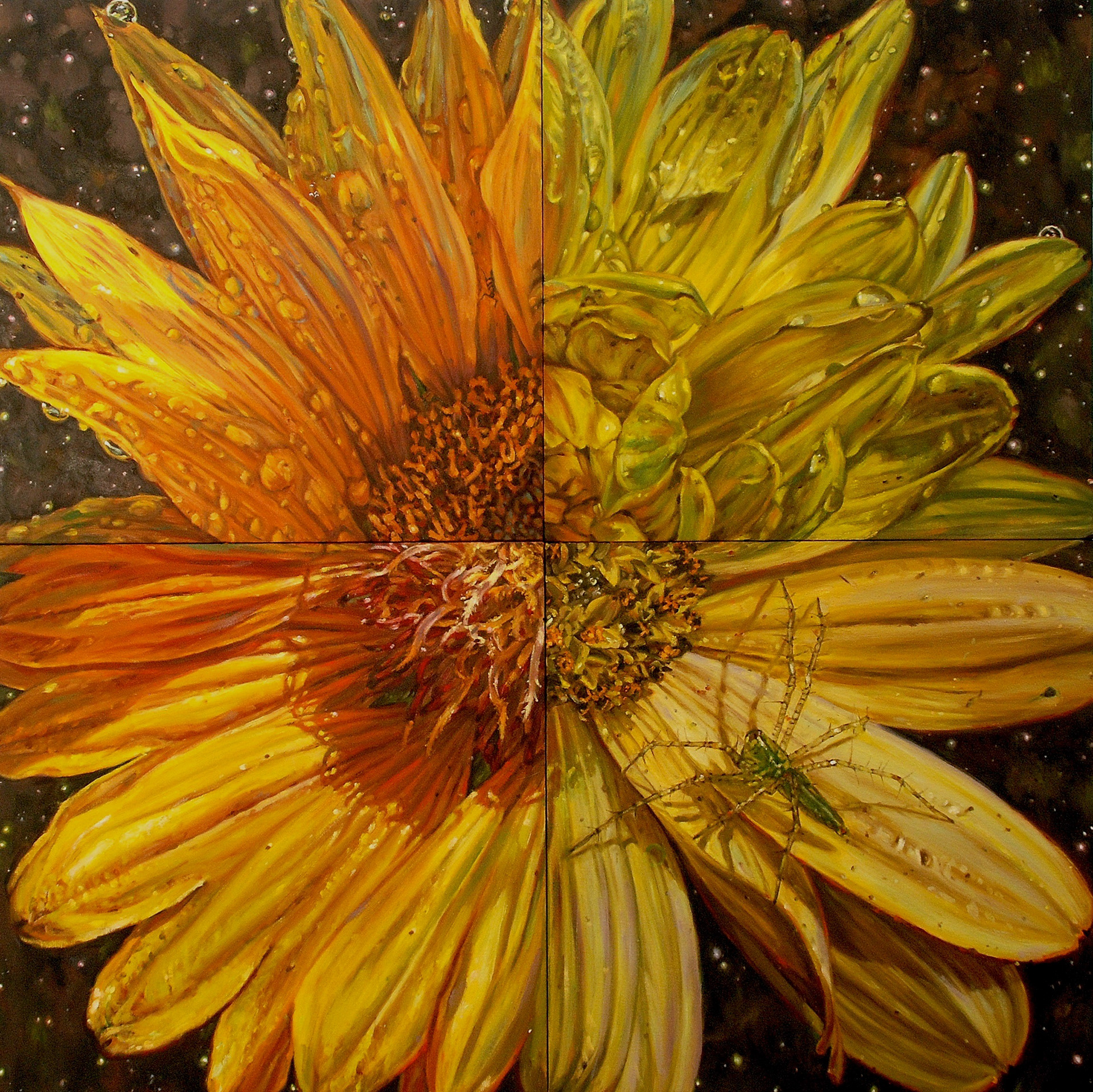 Skin Deep 3, oil on canvas, 40" x 40", 2014