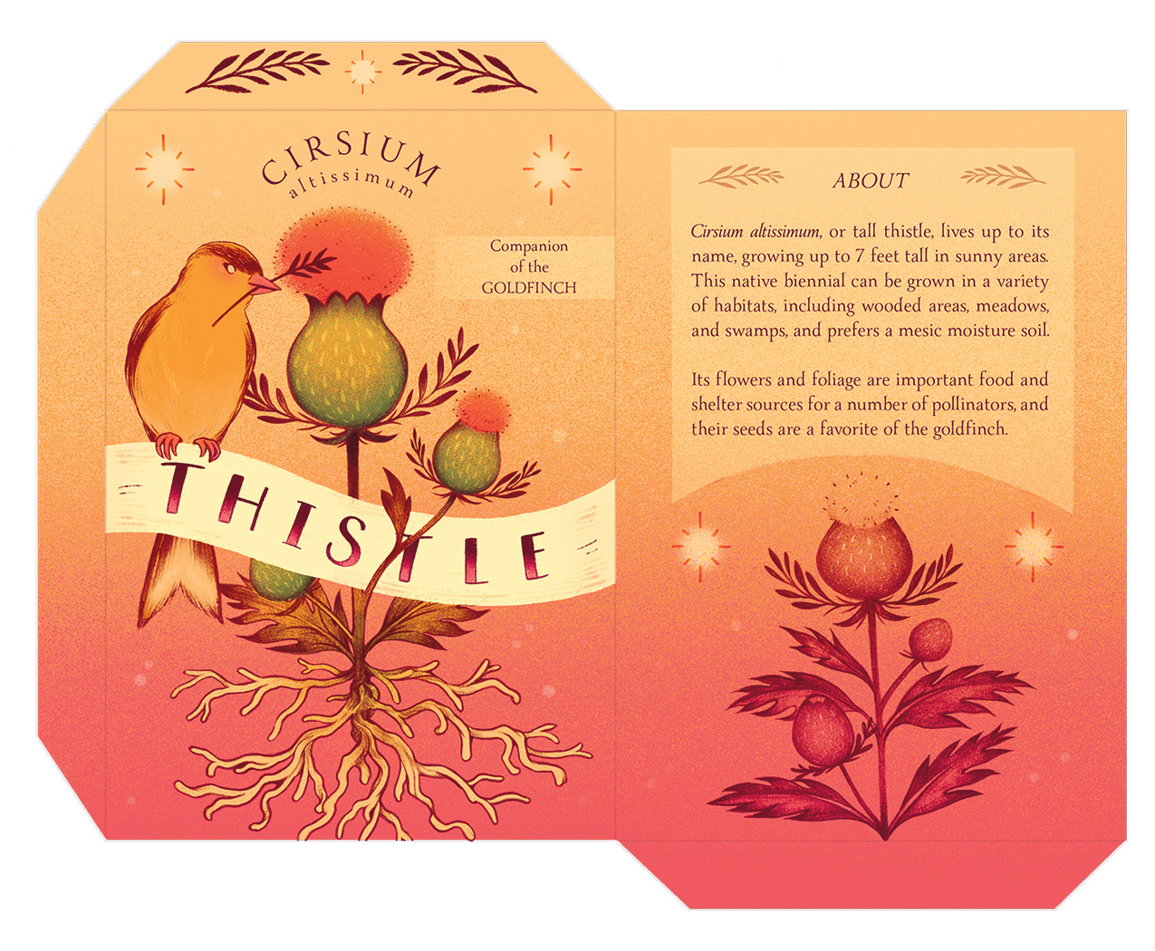 Mock seed packet for Tall Thistle