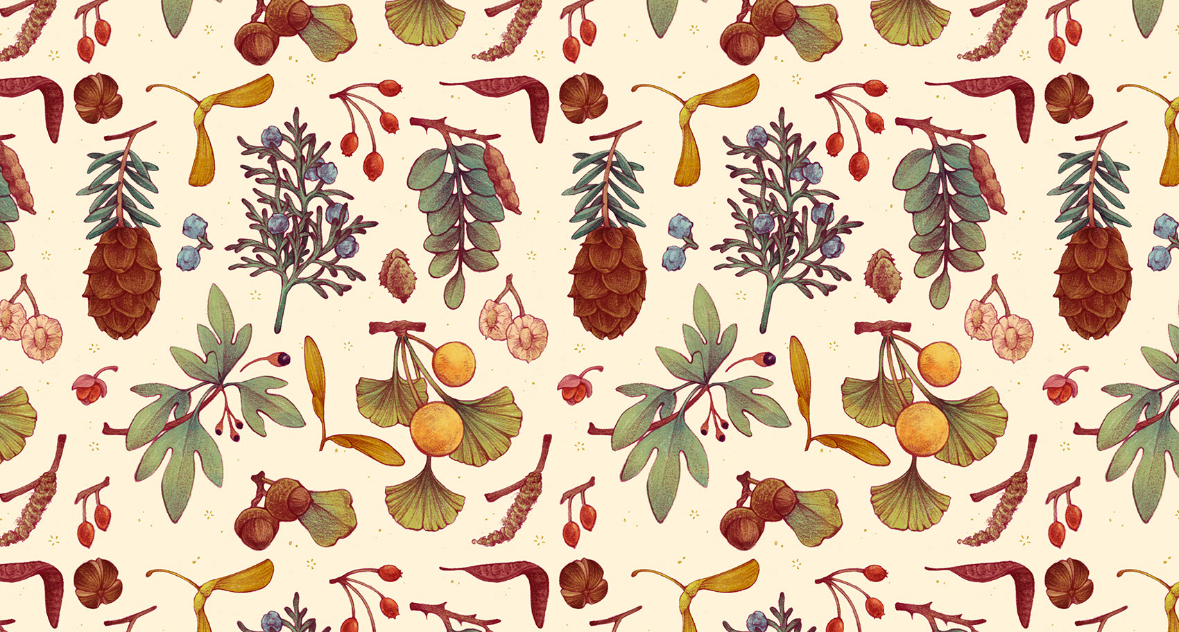Pattern of North American trees