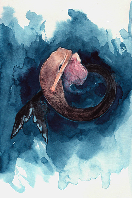 Mermay (2017)
