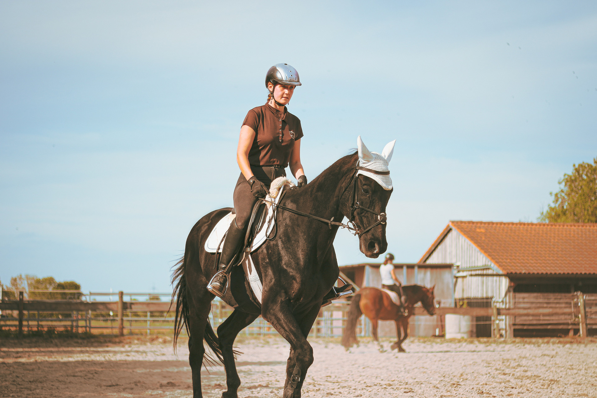 Lug Design Horses & People