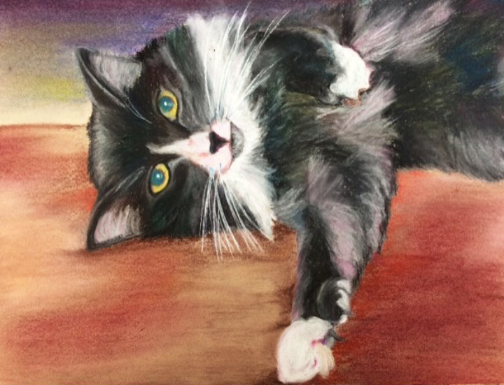 Chalk pastel of my cat, Cloudy (2015)