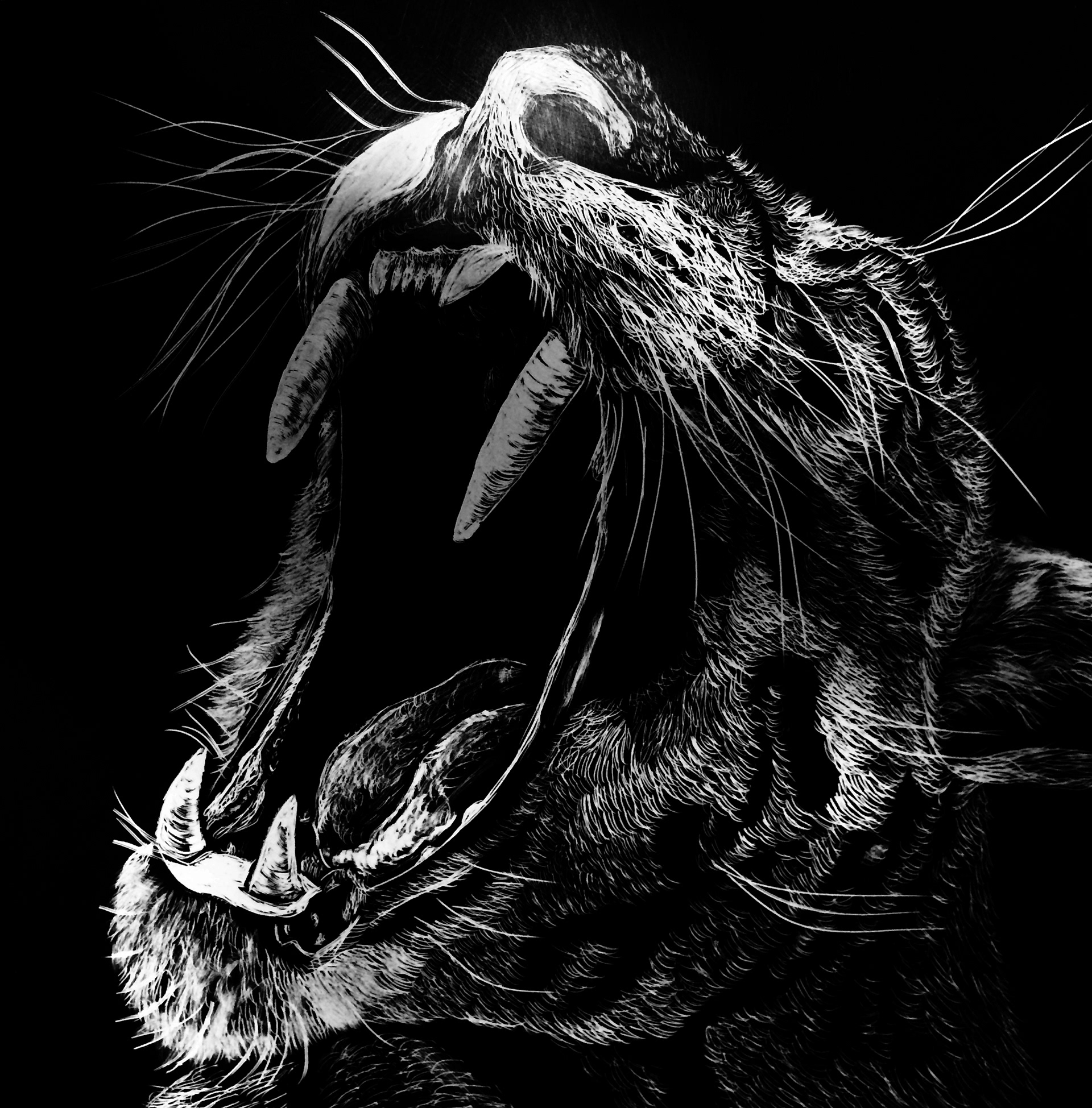 Wildlife collection- Cheetah (2016)